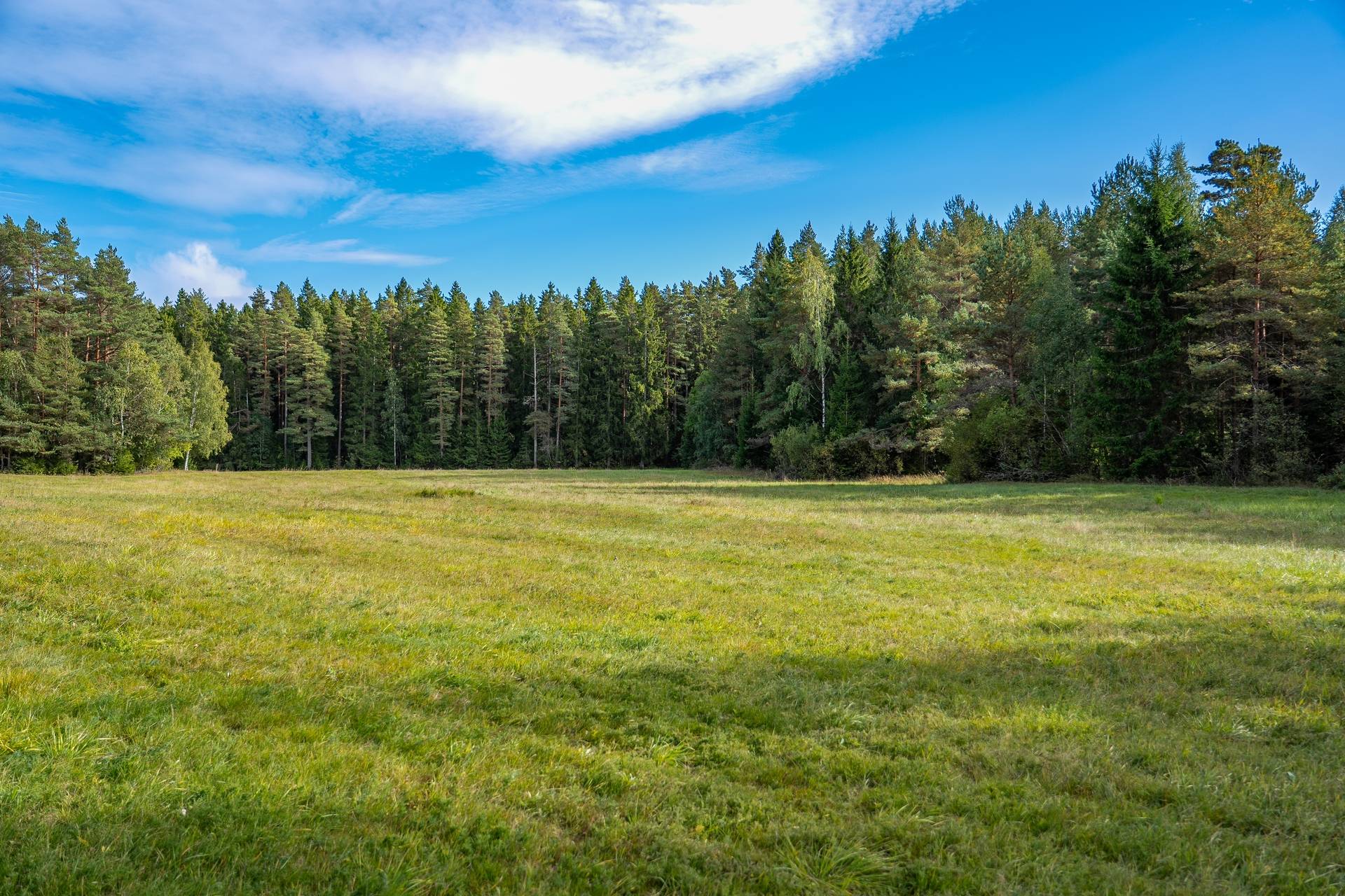 Gård med jordbruk på Övergården Säffle kommun - bild 6