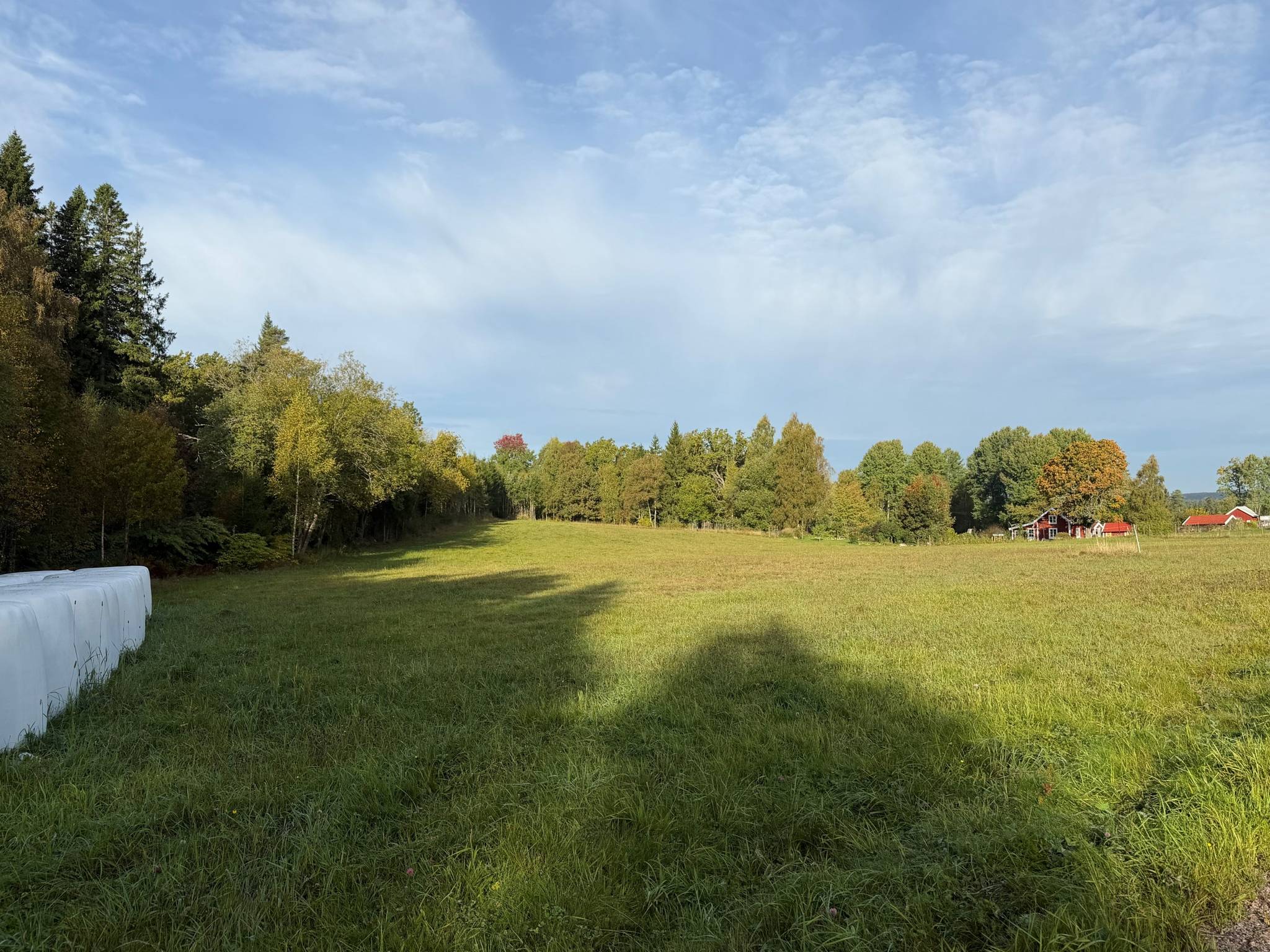 Gård/skog på Del av Hornaryd Hörnegård 2 Braås Växjö kommun - bild 14