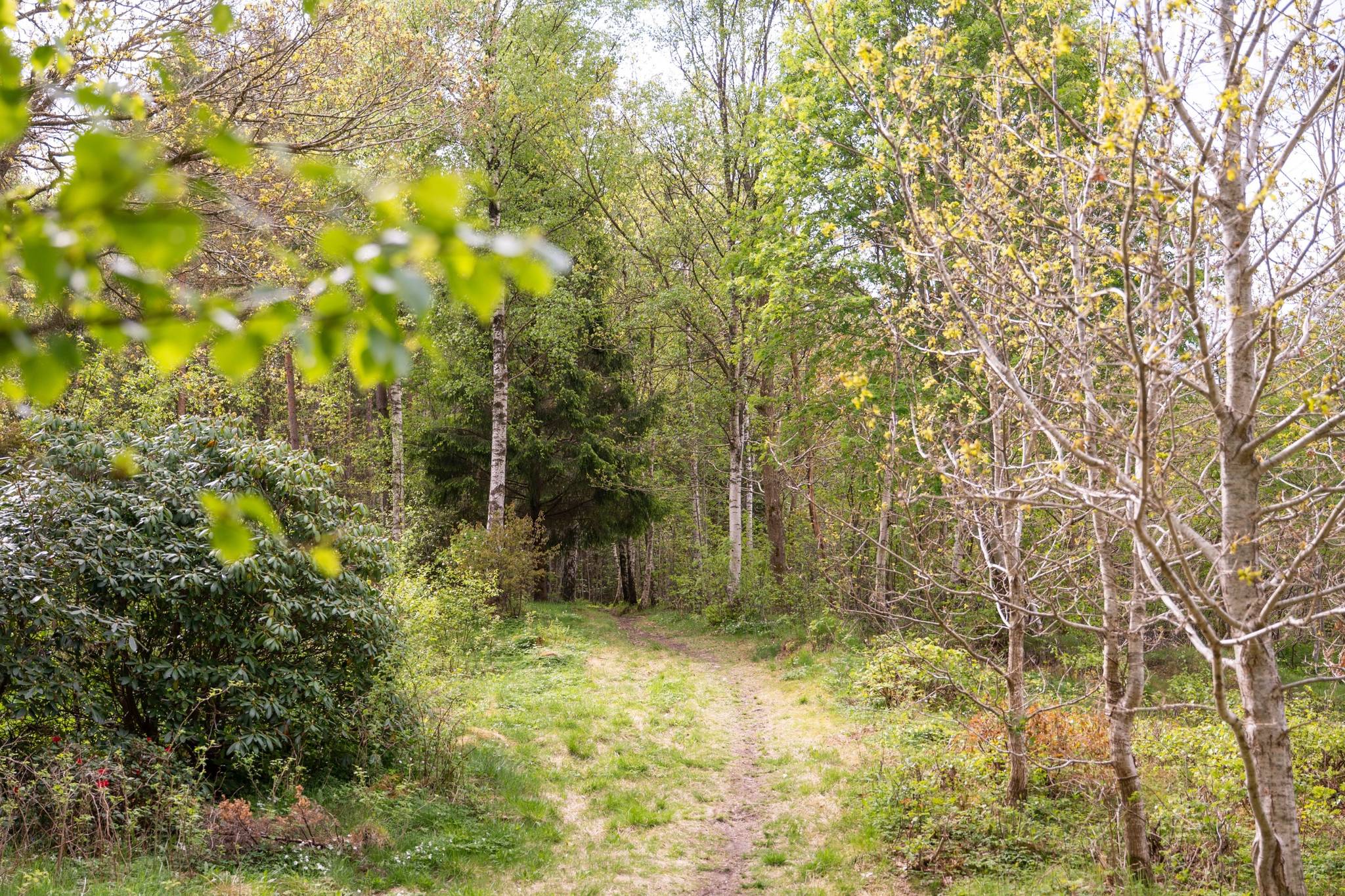 5 rum Parhus på Mystängen 78 Hisings Kärra - Mysterna Göteborgs kommun - bild 32