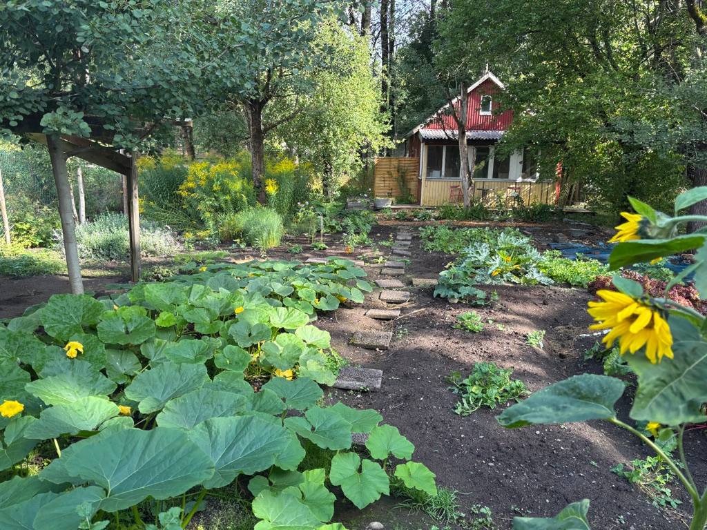 6 rum Villa på Blädinge Skogslyckan 1 Alvesta kommun - bild 25