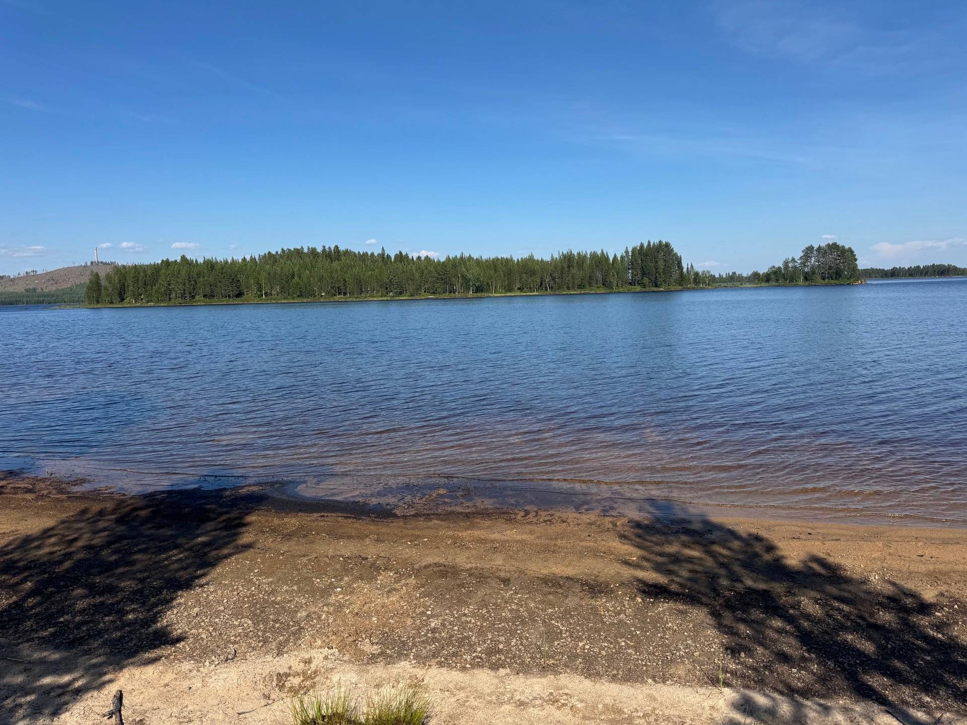 Gård med skogsbruk på Älvsbyn högheden 8:4, 8:5 & Piteå Björkheden 1:6 Älvsbyn Älvsbyns kommun - bild 9