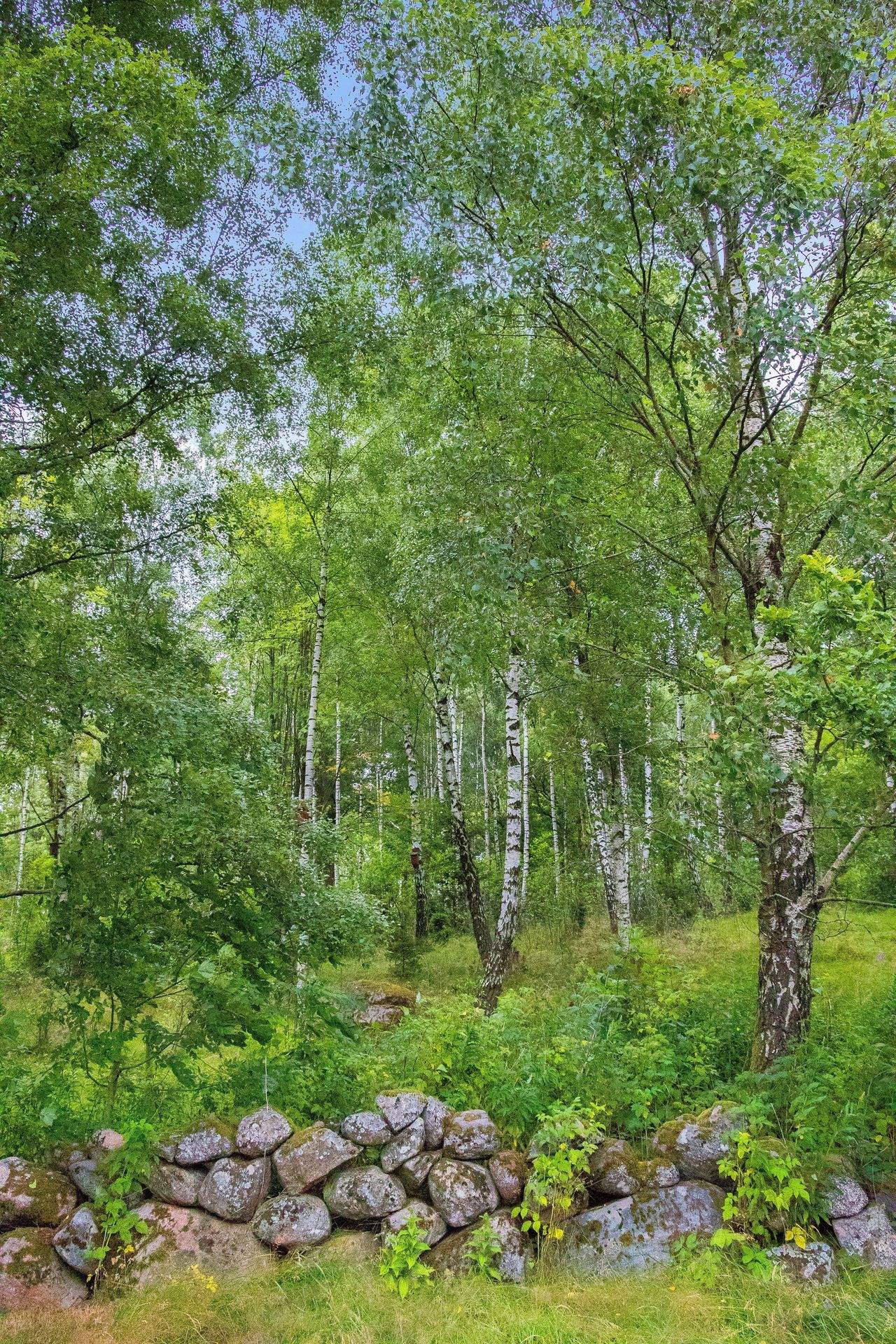 6 rum Villa på Nygårdsvägen 6 Okome Falkenbergs kommun - bild 9