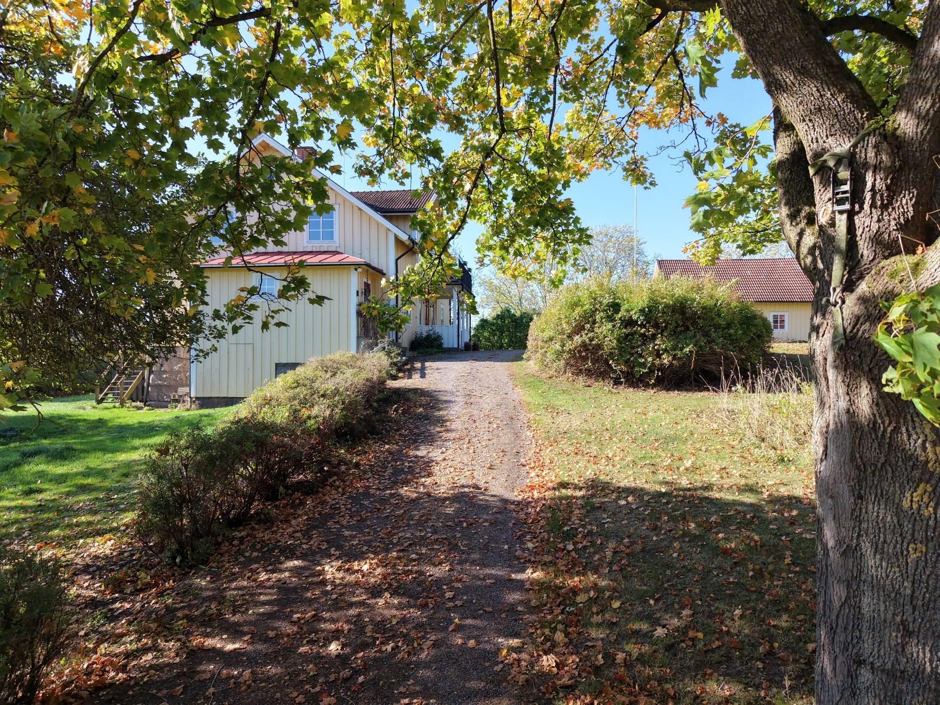 Gård med jordbruk på Vallingedal Nedergård Vallingedal Kinda kommun - bild 7