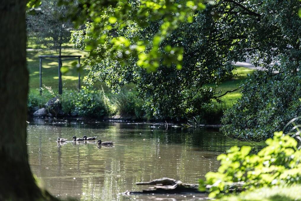 2 rum Lägenhet på Västergatan 22 Annedal/Linnéstaden Göteborgs kommun - bild 25