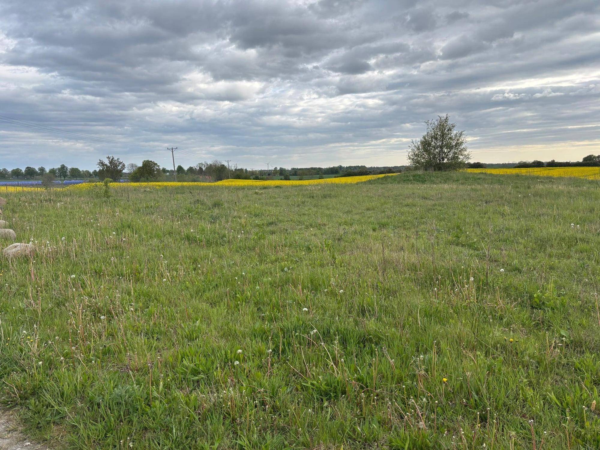 Skurup, Skurups kommun