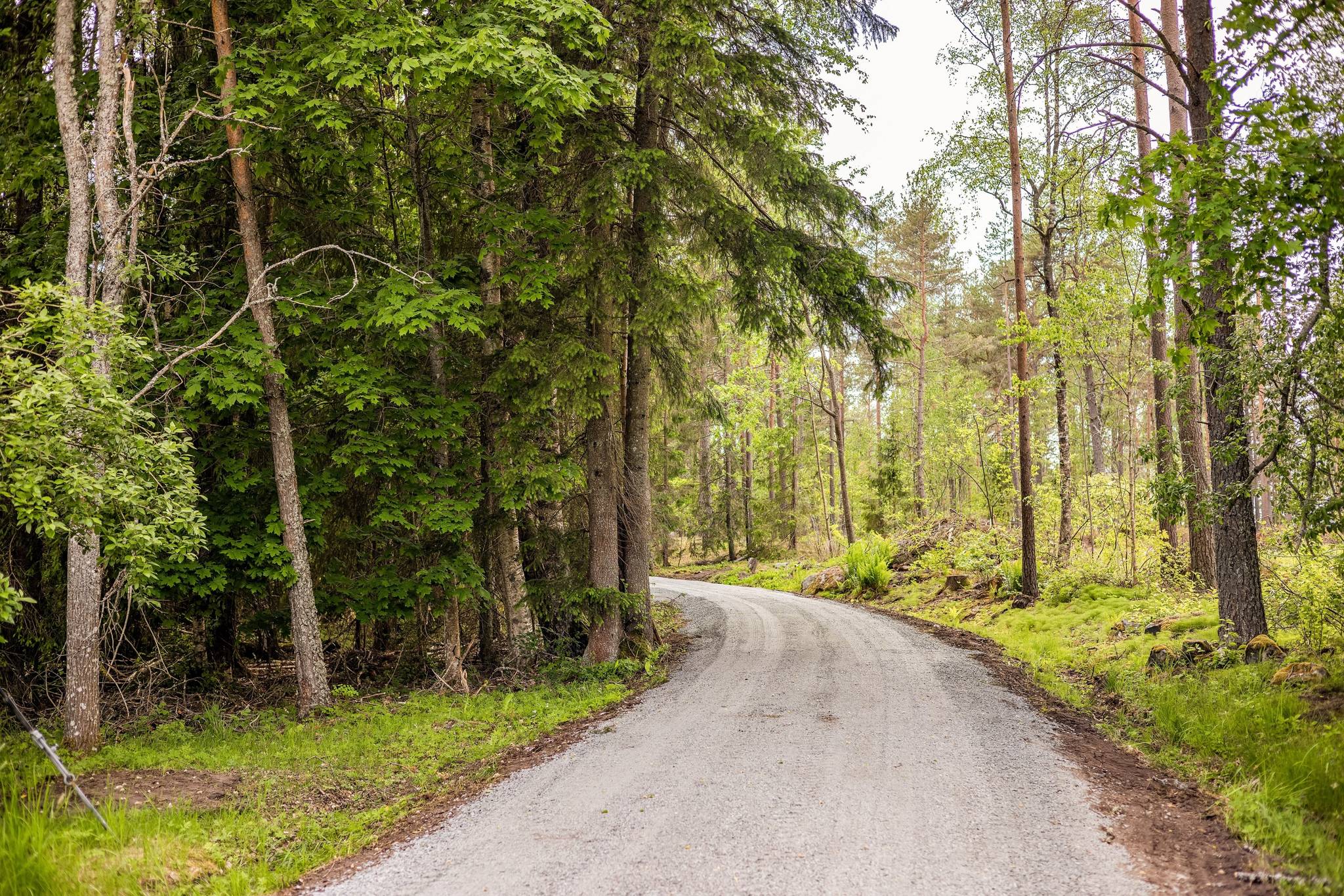 Tomt på Norrskedika 7:11 Östhammars kommun - bild 13