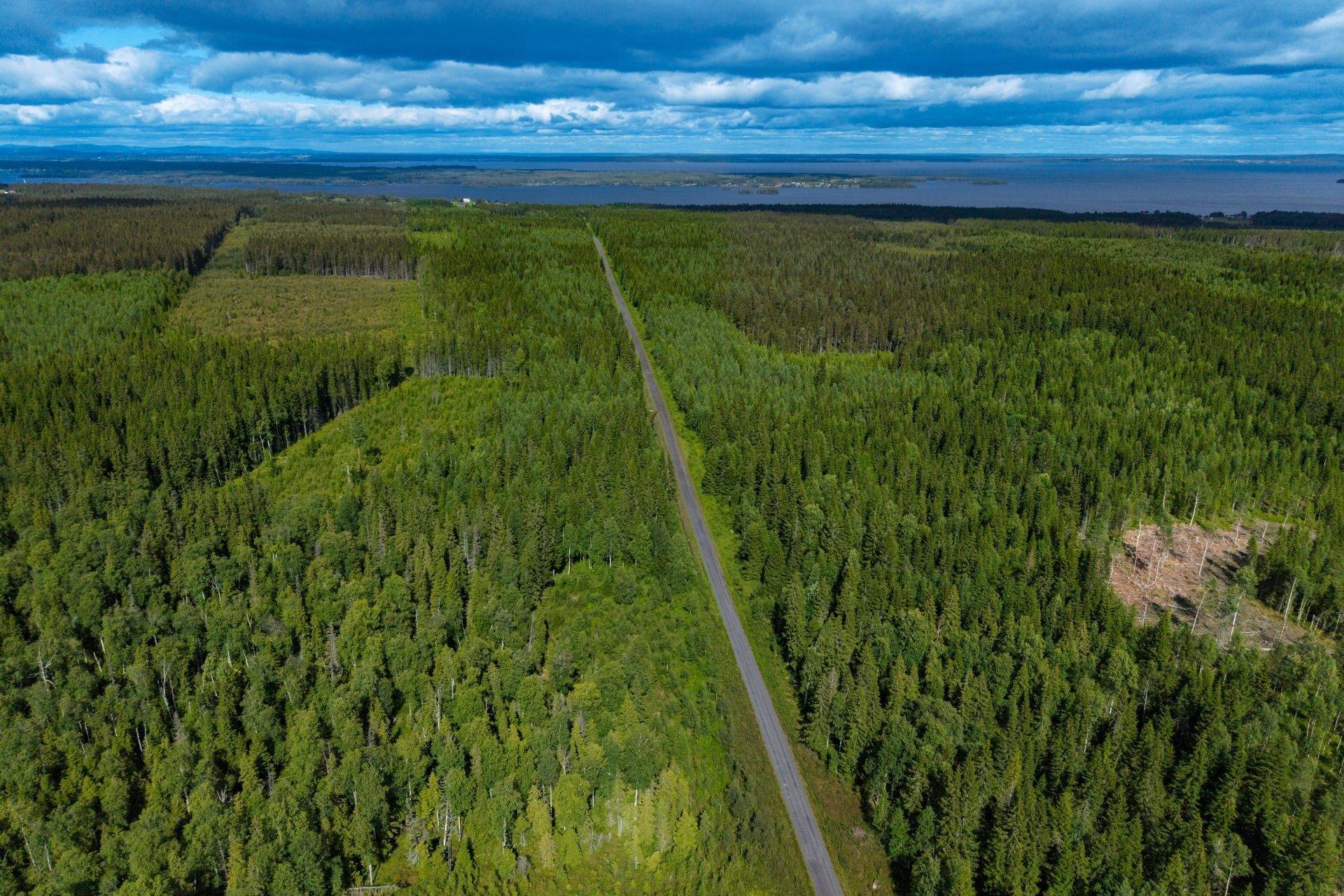 Gård med jordbruk på Högenvägen 29 Hallen Åre kommun - bild 63