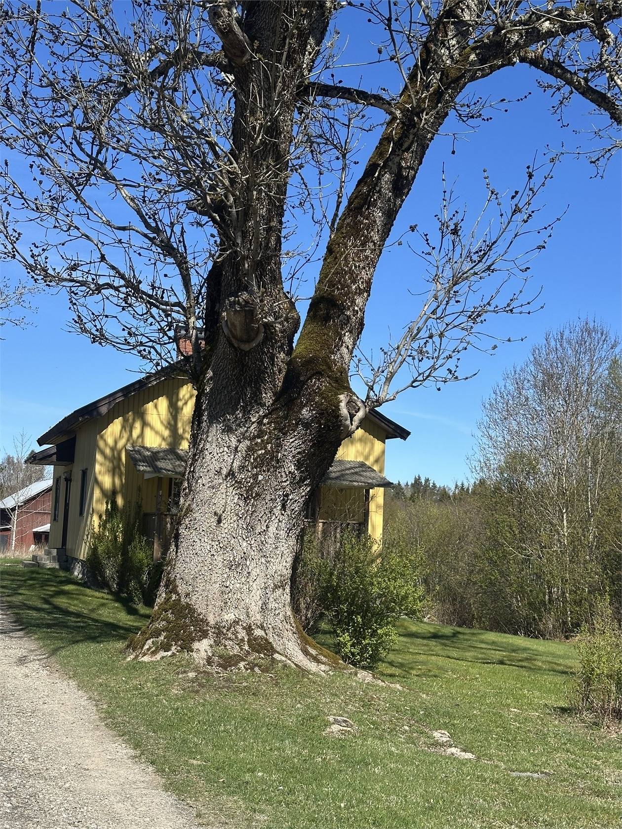 3 rum Villa på Sandviken Östi 1 Lennartsfors Årjängs kommun - bild 31