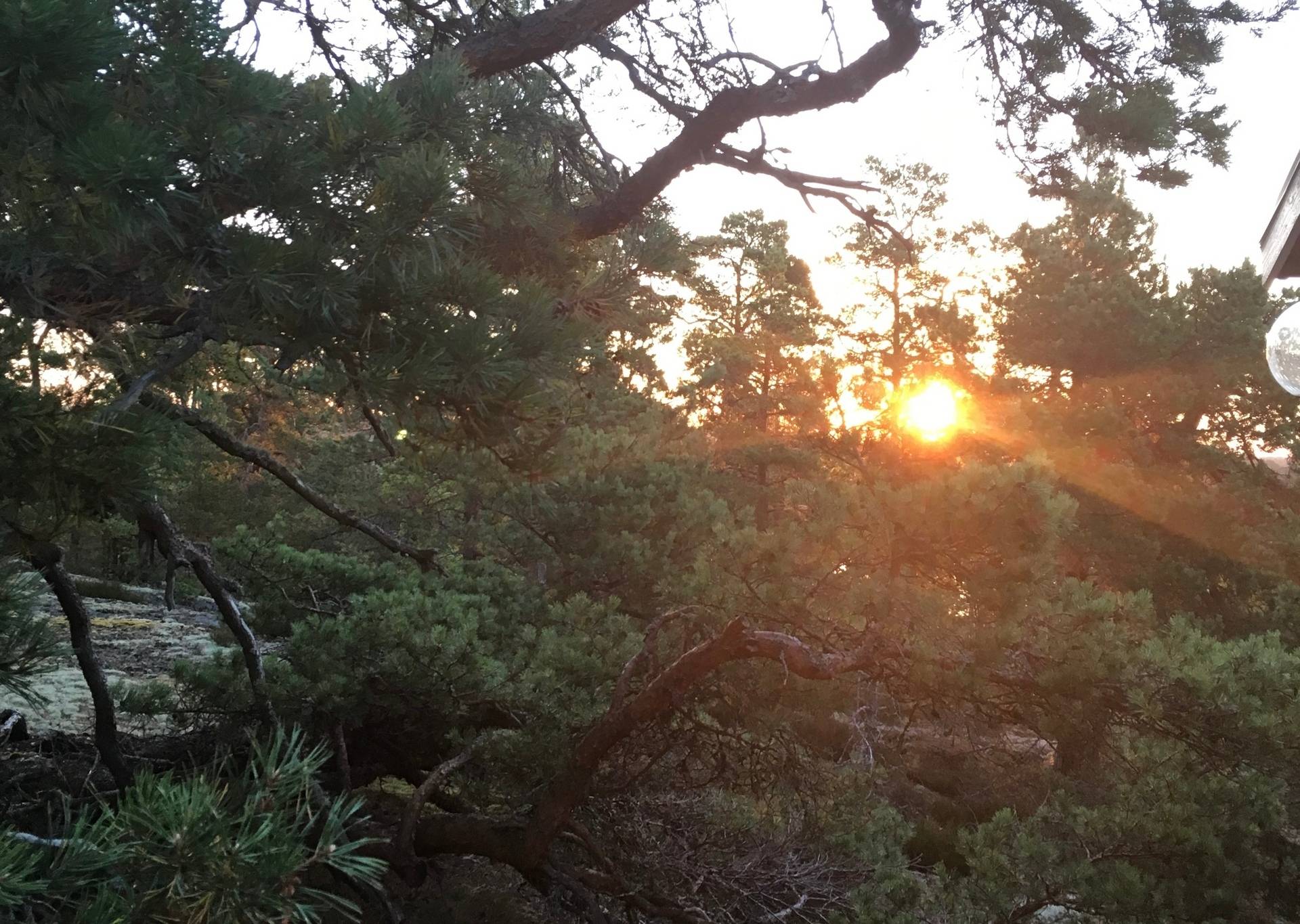 4 rum Villa på Hanskrokavägen 45 Hanskroka Värmdö kommun - bild 27