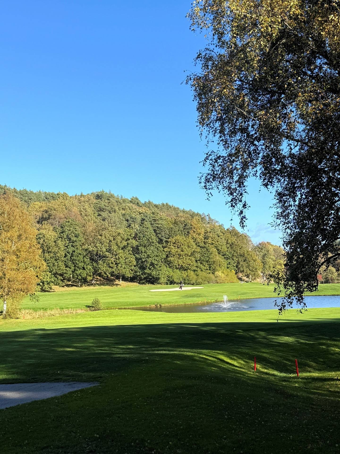 4 rum vinterbonat fritidshus på Gultjärn 9 Sannäs/Mjölkeröd, Tanums kommun - bild 4