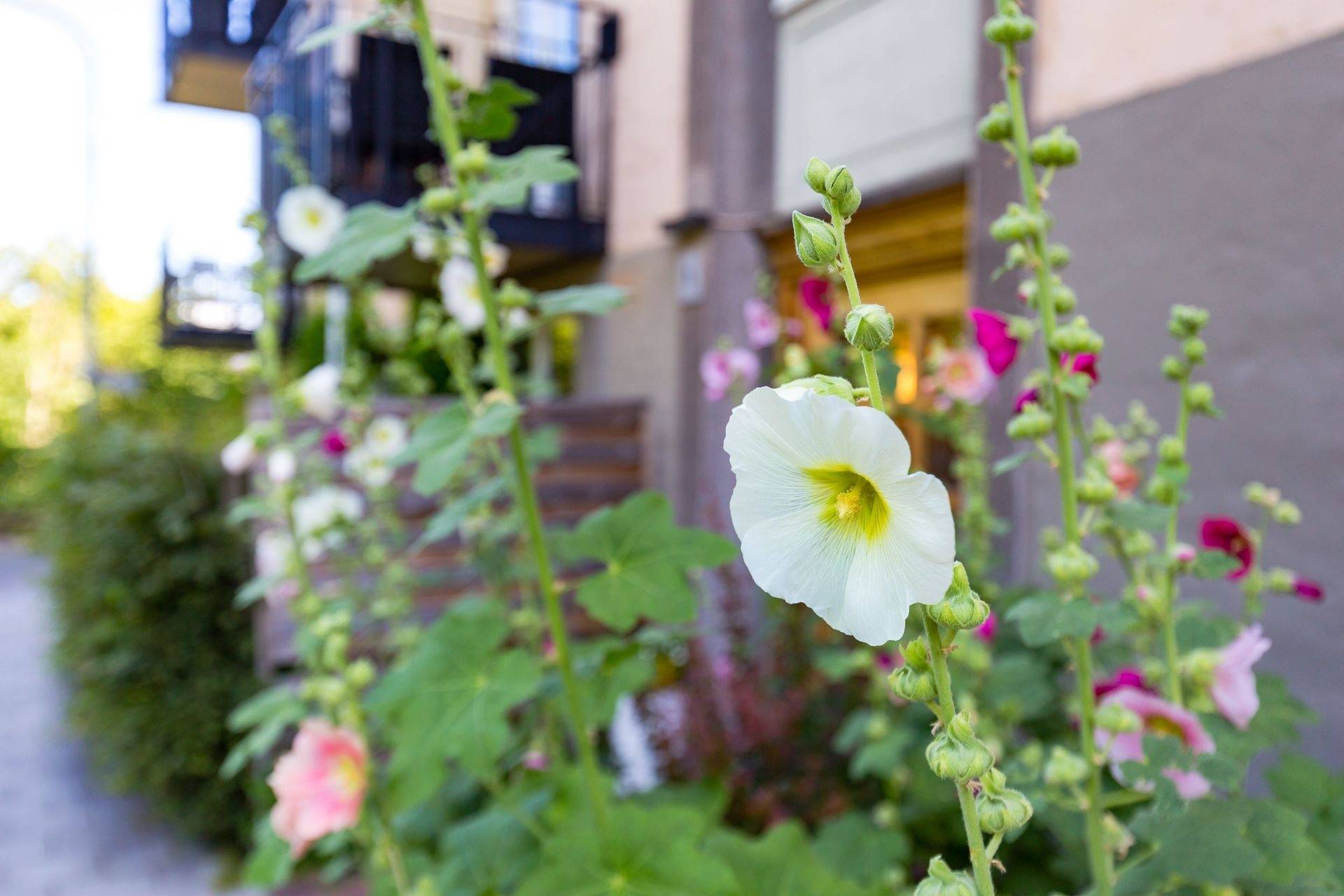 4 rum Lägenhet på Birger Sjöbergs Väg 1 Kungsholmen - Fredhäll Stockholms kommun - bild 36