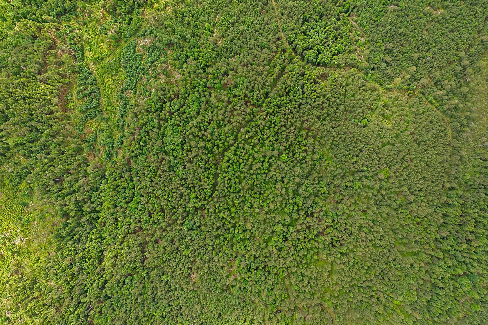 6 rum Gård/skog på Loo Holmängen 875 Långared / Loo Med Omnejd Alingsås kommun - bild 37
