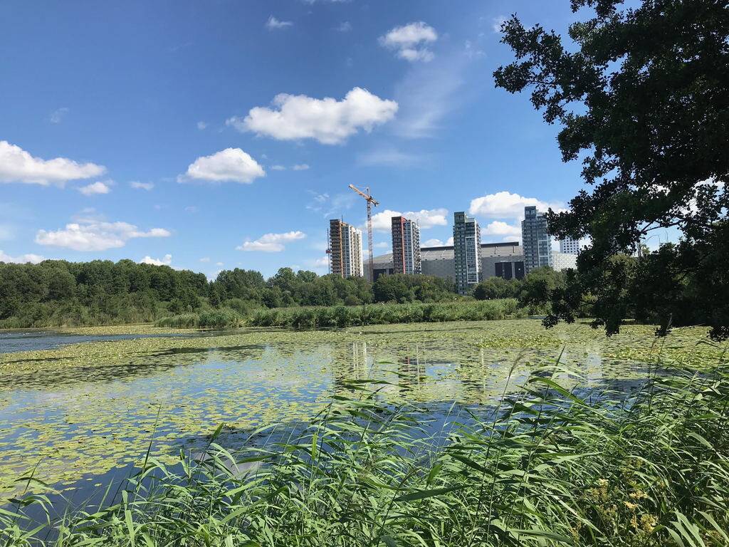 3 rum Lägenhet på Ankdammsgatan 36, vån 3 Skytteholm Solna kommun - bild 25