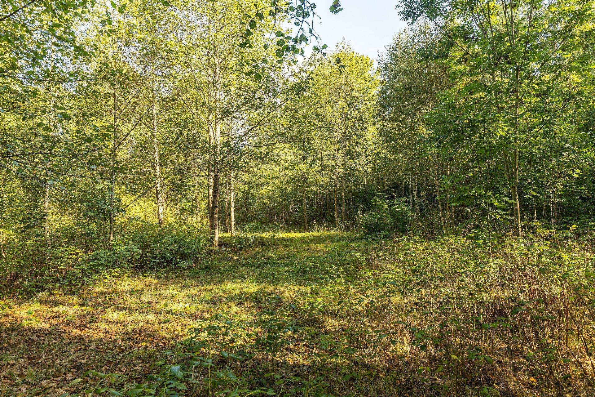 Gård/skog på 23,5 ha på Vaberget, Karlsborg Karlsborgs kommun - bild 7