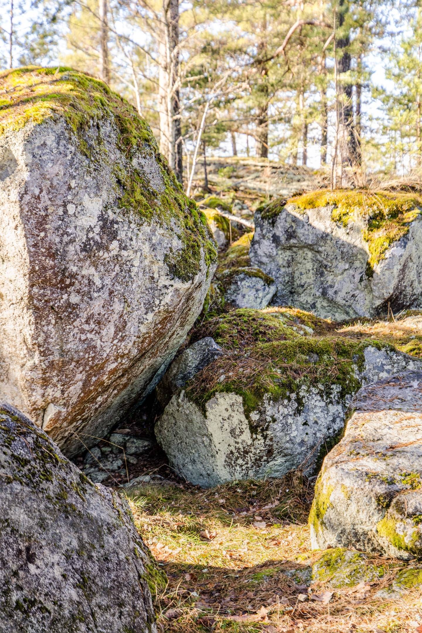 3 rum Fritidshus på Mörtvägen 12 Märsön Enköpings kommun - bild 44