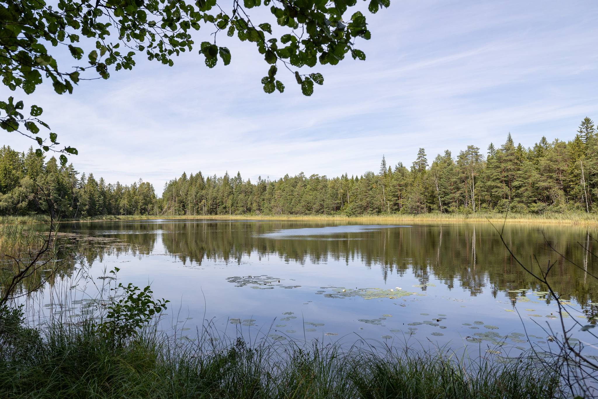 Gård med skogsbruk på Isåsen Askersunds kommun - bild 1