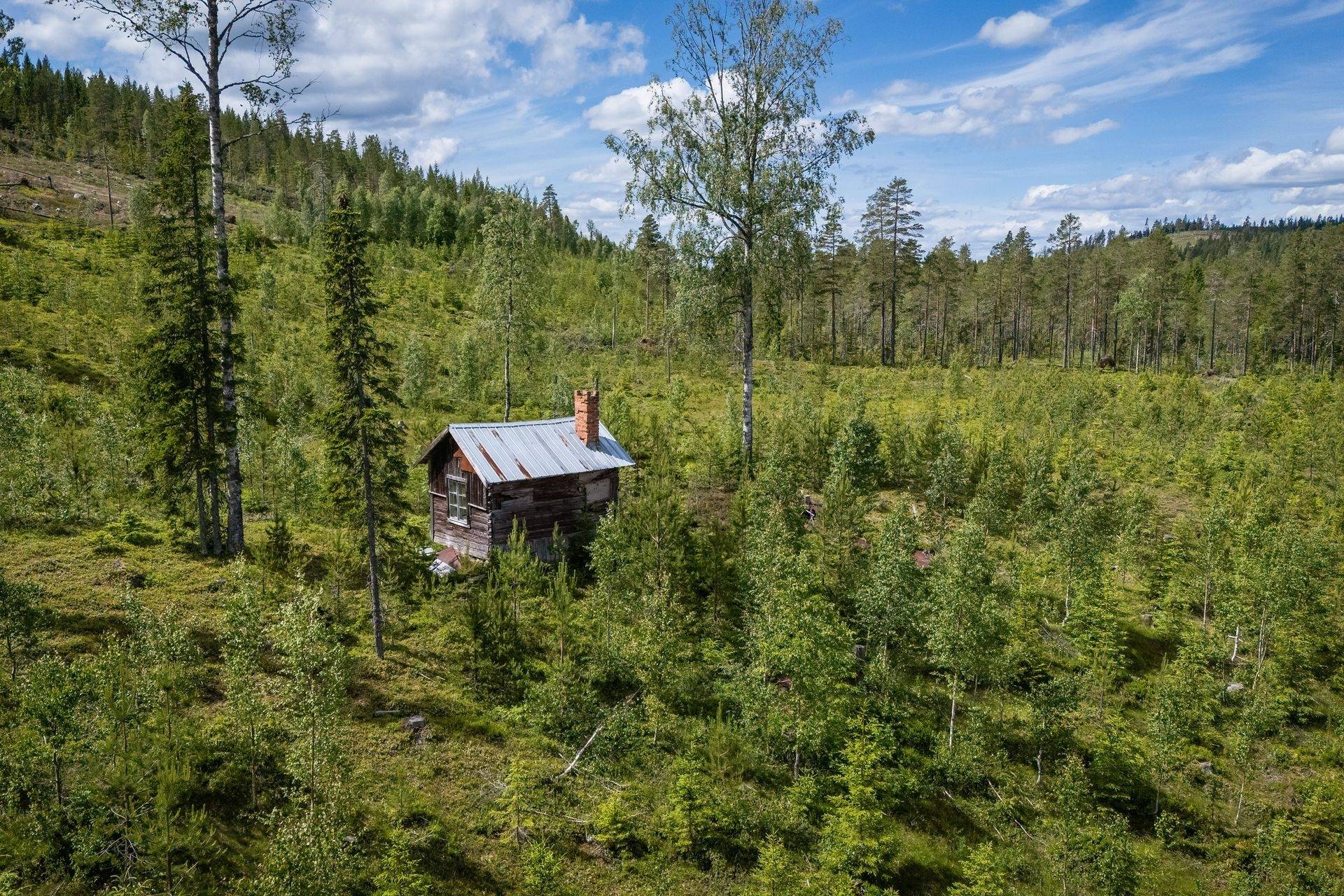 Gård/skog på BOLLNÄS ARBRÅ KYRKBY 13:31 Arbrå Bollnäs kommun - bild 9