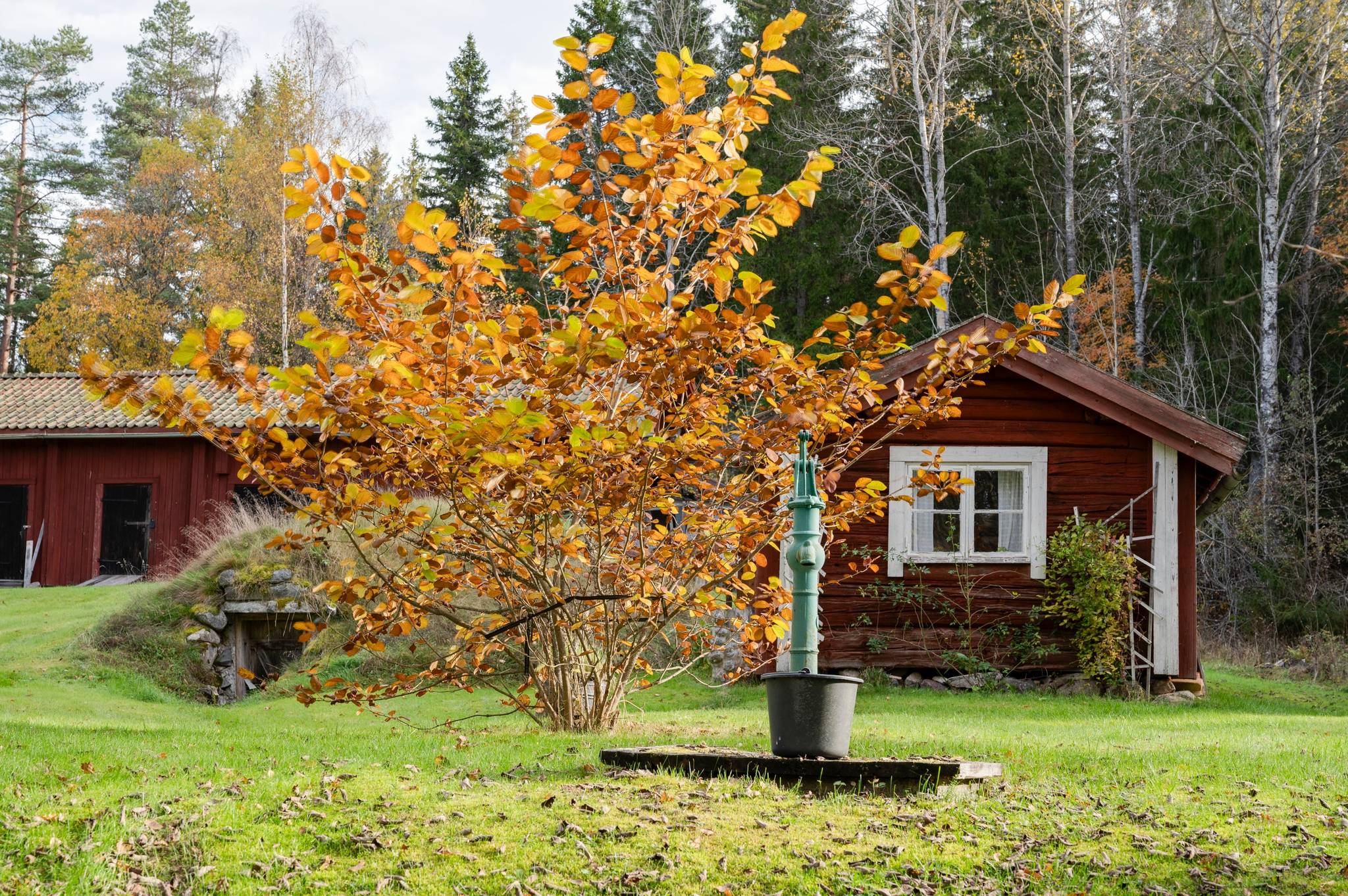 2 rum Fritidshus på Bredsjö 10 Bredsjö Hällefors kommun - bild 34