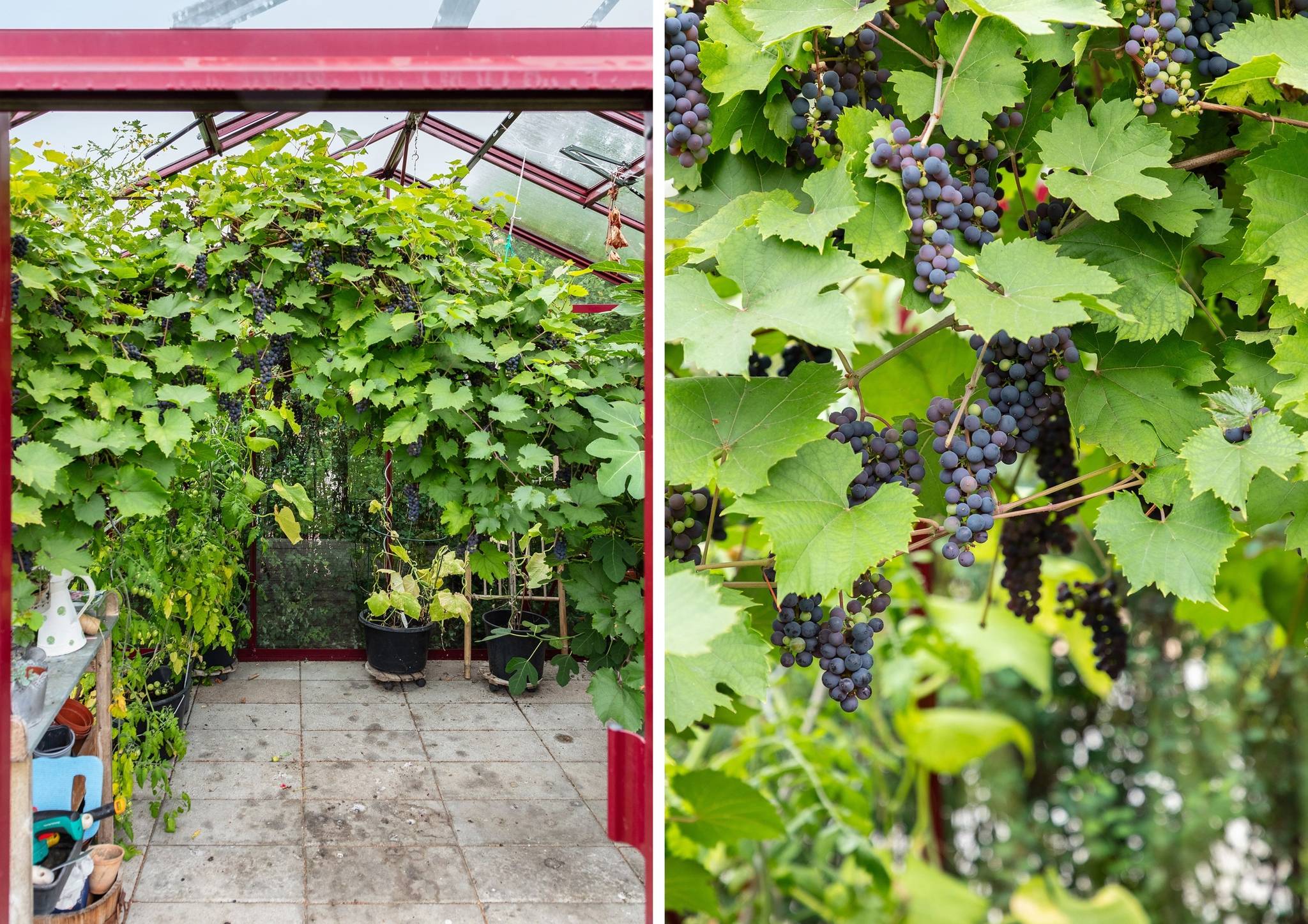 2 rum Villa på Bjäreäng 2 Karups Nygård Sjöbo kommun - bild 17
