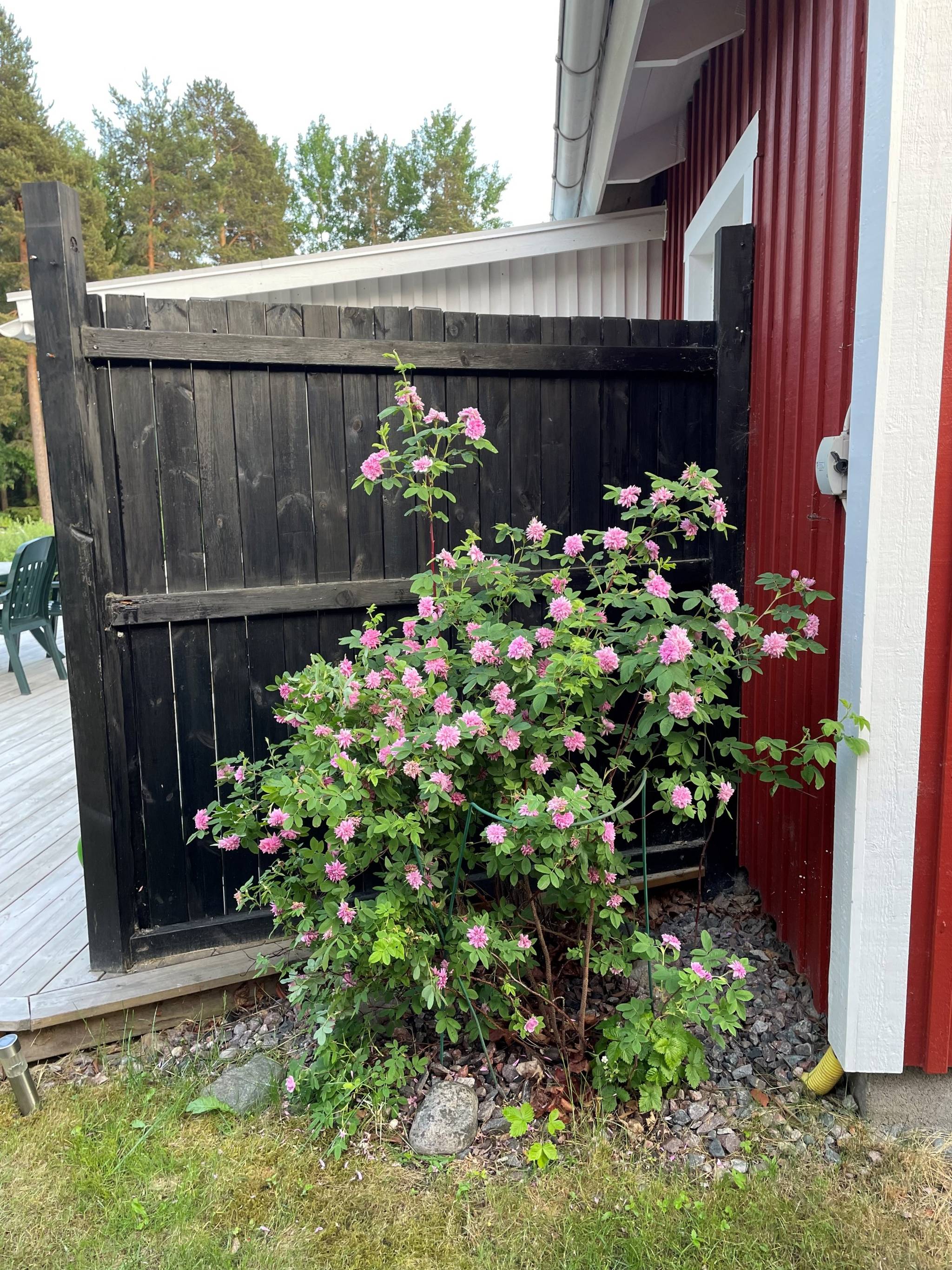 4 rum Parhus på Hyacintvägen 4B Sätra Gävle kommun - bild 42