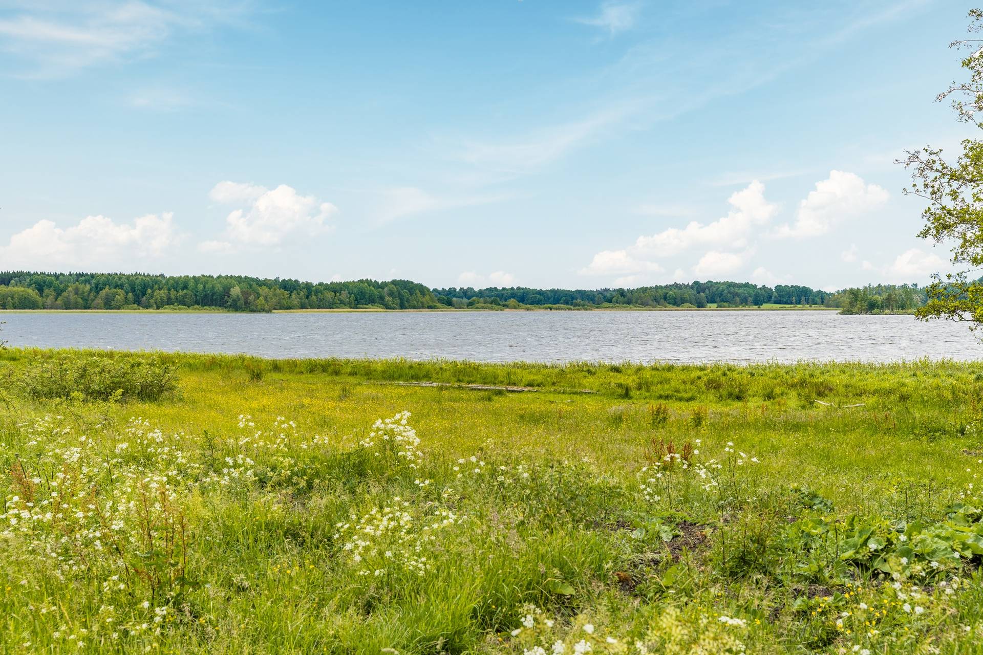 2 rum Fritidshus på Baldersnäs 1 Vrena Nyköpings kommun - bild 28