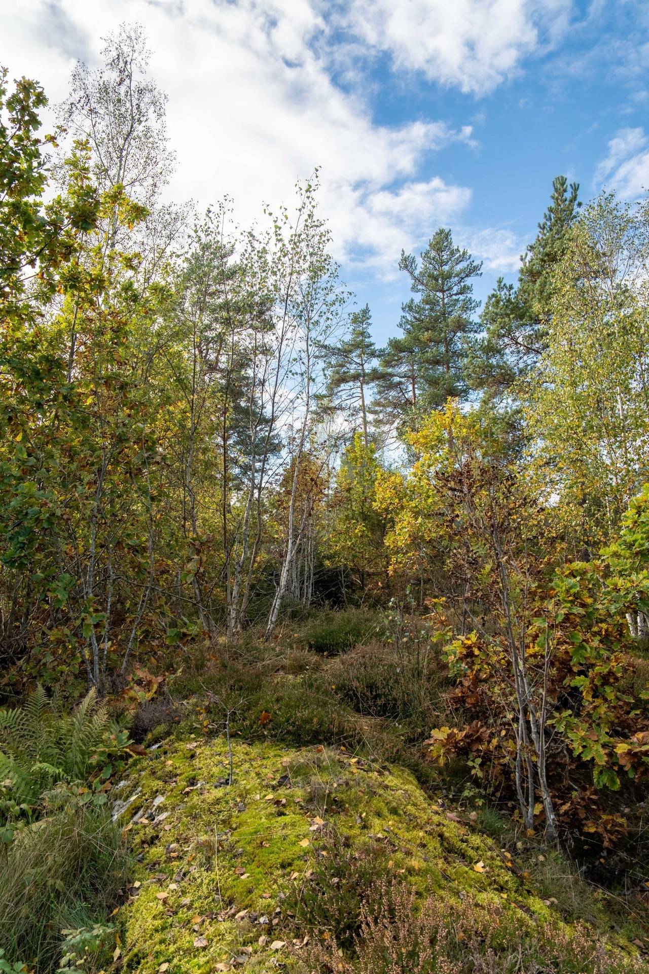 6 rum Villa på Tallvägen 18 Melleruds kommun - bild 12