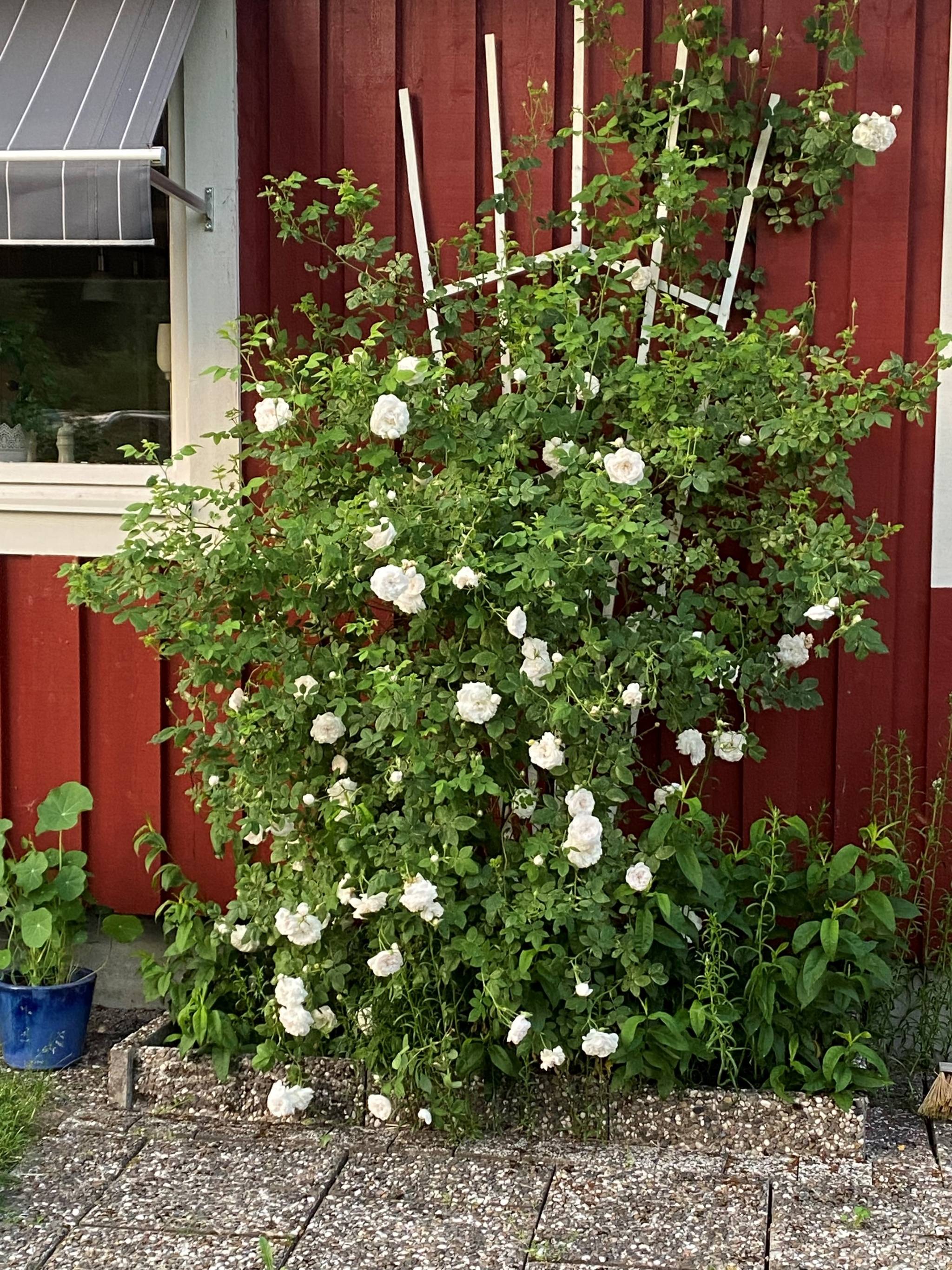 3 rum Villa på Gula vägen 5 Uppsala kommun - bild 34