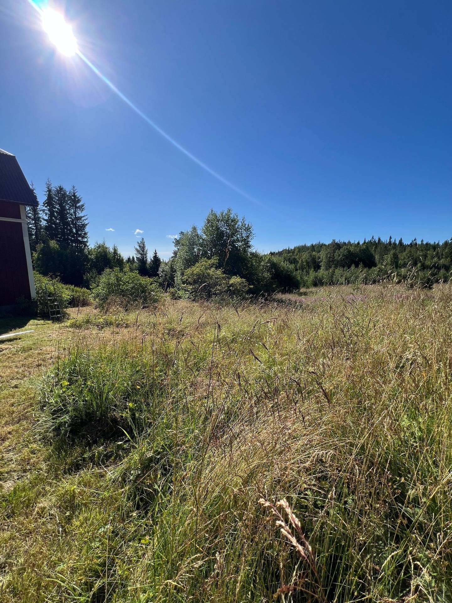Gård/skog på Bördigt vid Norrberg LJUSDAL - NORRBERG Ljusdals kommun - bild 14