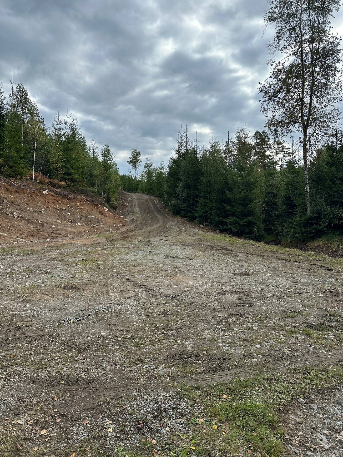Gård med skogsbruk på MARK ANABÄCKSHULT 2:14 Anabäckshult Marks kommun - bild 41