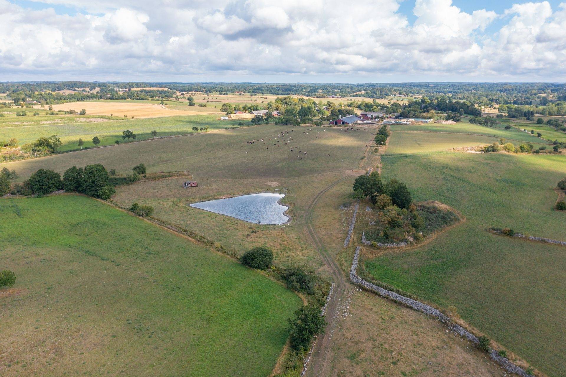 Gård med jordbruk på Östra Klasarödsvägen 262-16 Sjöbo kommun - bild 23