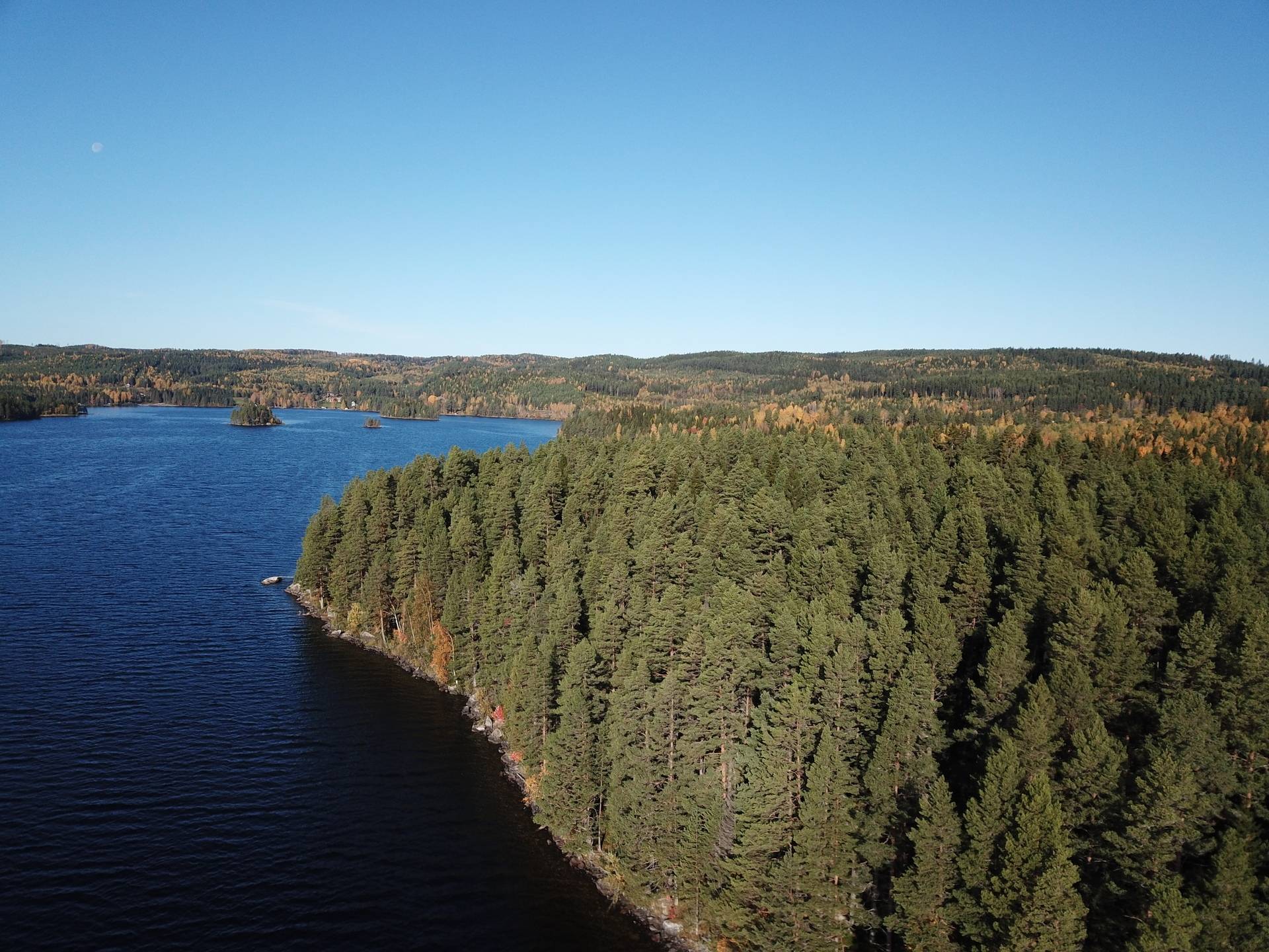 Gård/skog på Lillön 110 Bräcke kommun - bild 19