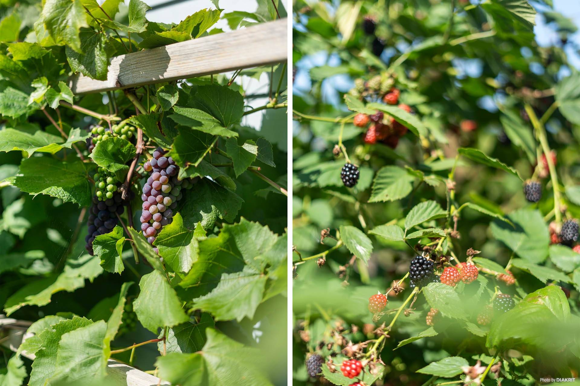3 rum Villa på Sik 26 Björkäng Varbergs kommun - bild 22