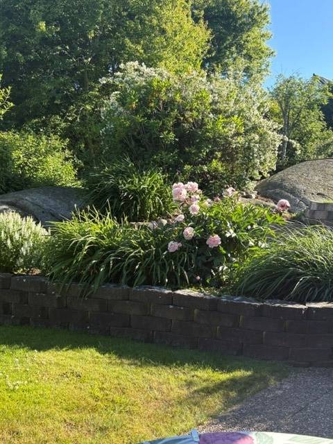 5 rum Villa på Birkavägen 17 Kullavik Kungsbacka kommun - bild 13
