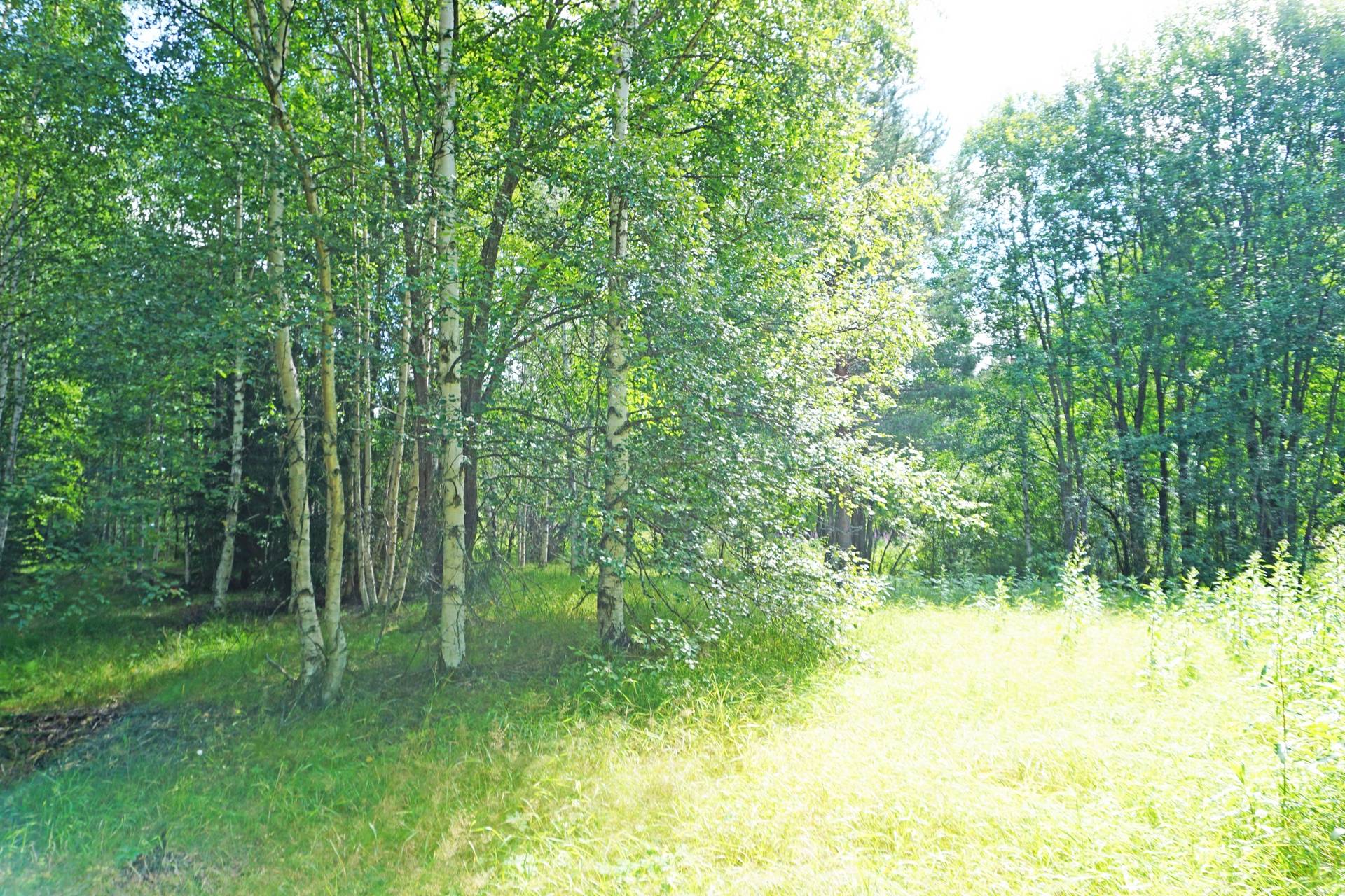 2 rum Gård med jordbruk på Oppli Ljusdals kommun - bild 76