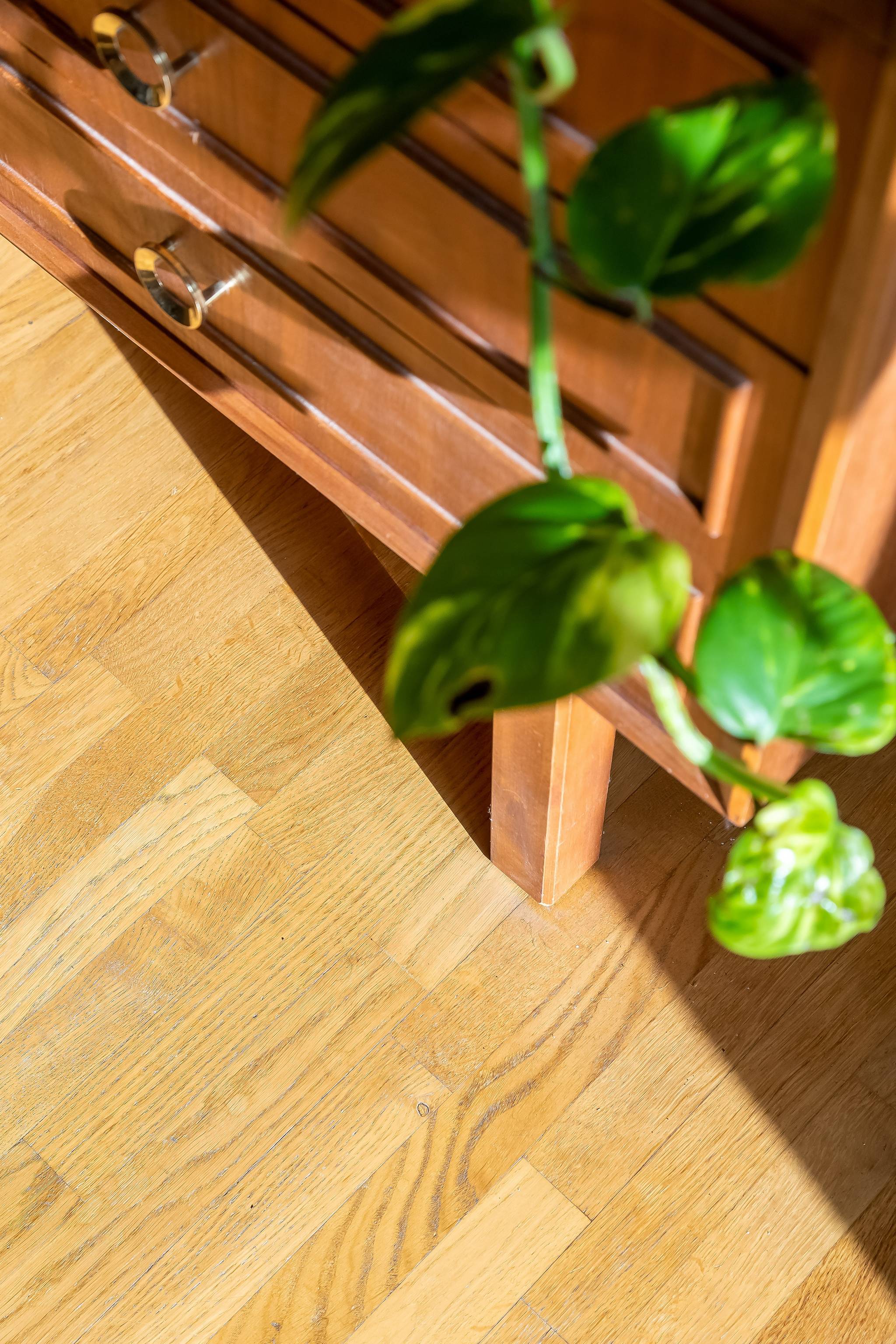 2 rum lägenhet på Baskemöllegatan 4C Nobeltorget/Östra Sorgenfri, Malmö kommun - bild 2