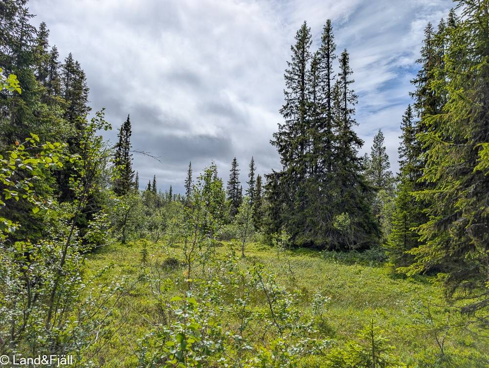 Tomt på Vålvägen 6 Ljungdalen - Skärkdalen Bergs kommun - bild 14