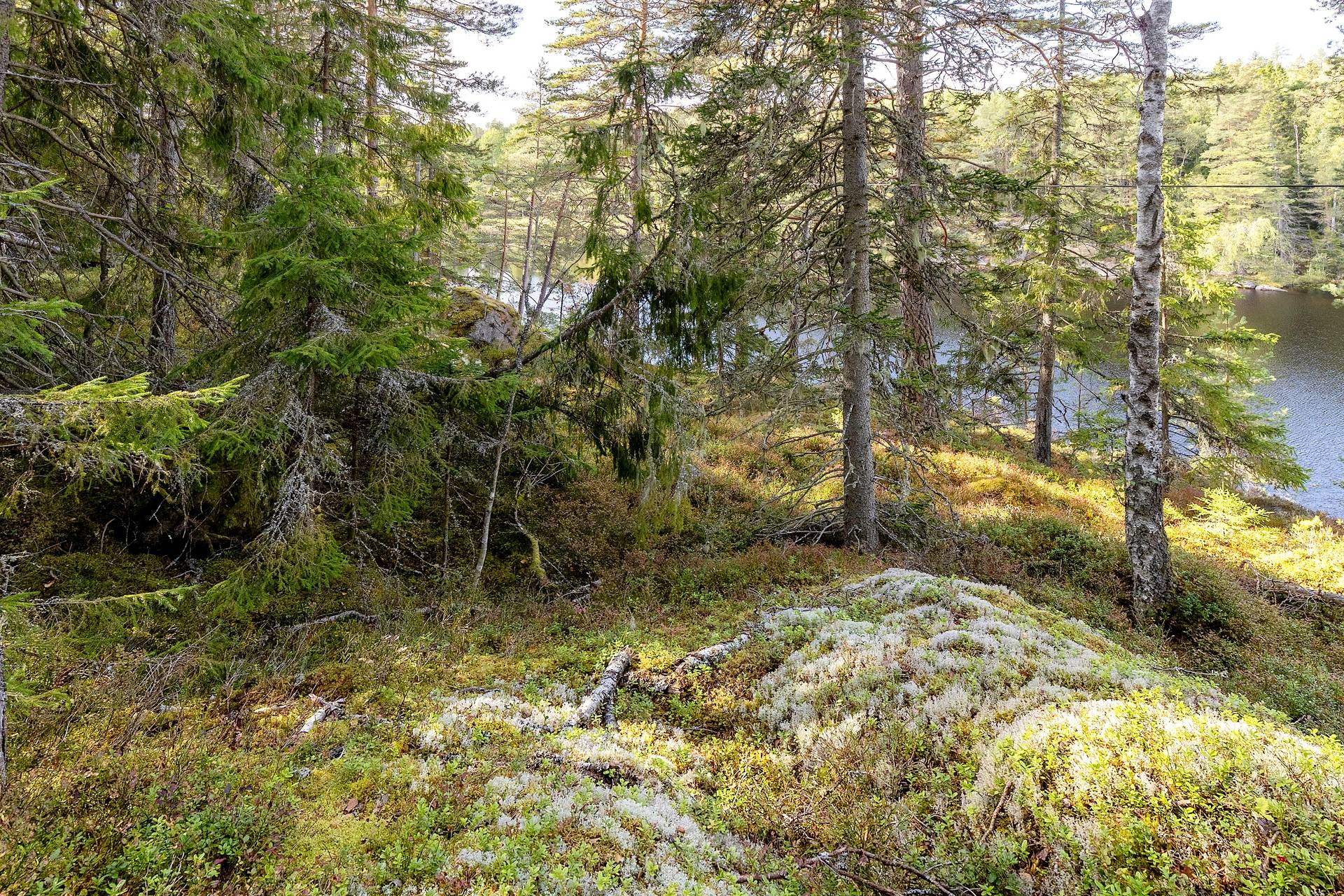 190 m² Gård med jordbruk på Djupviksängen Askersunds kommun - bild 5