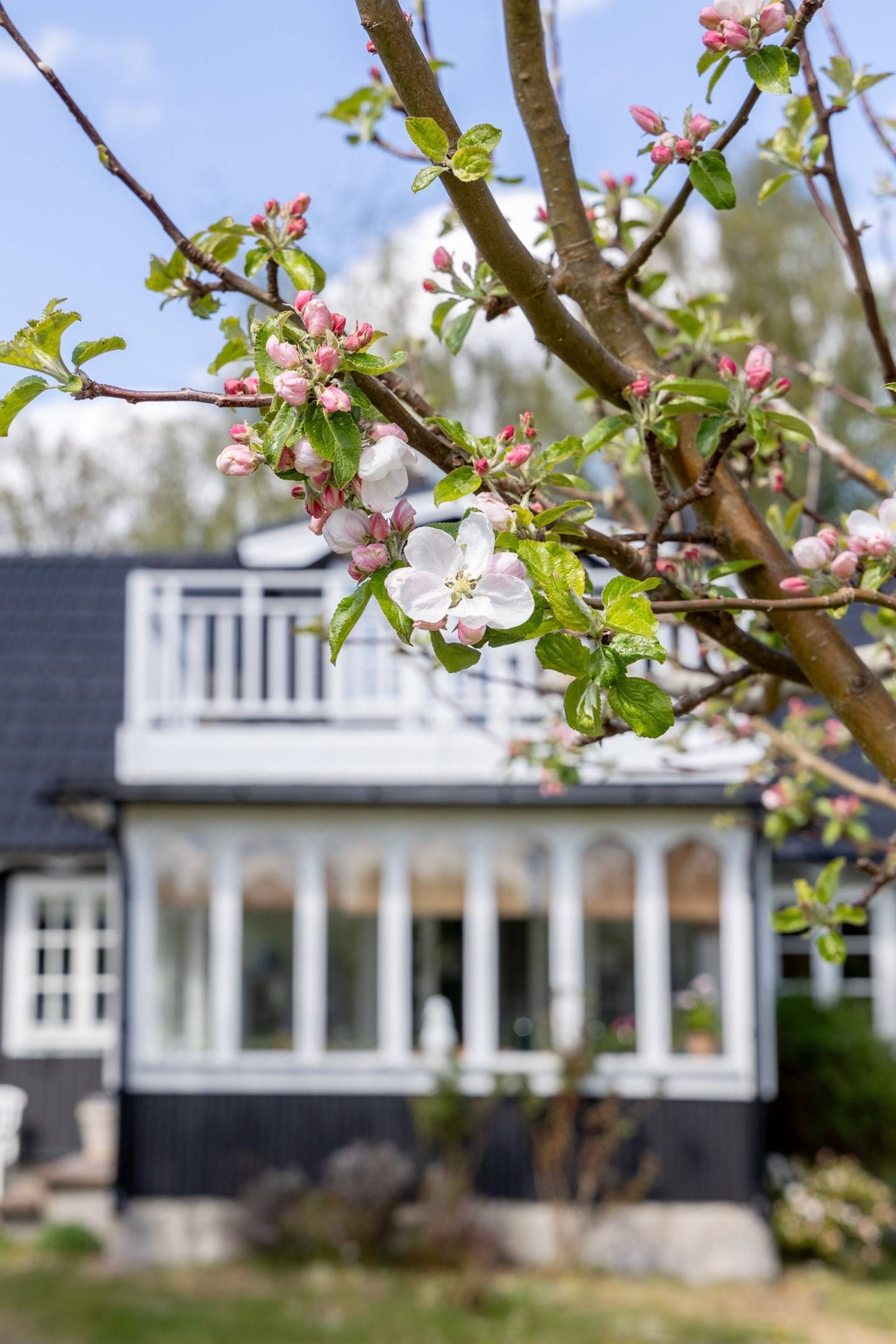 6 rum Villa på Hedersrumsvägen 15 Ålems Kyrkby Mönsterås kommun - bild 49
