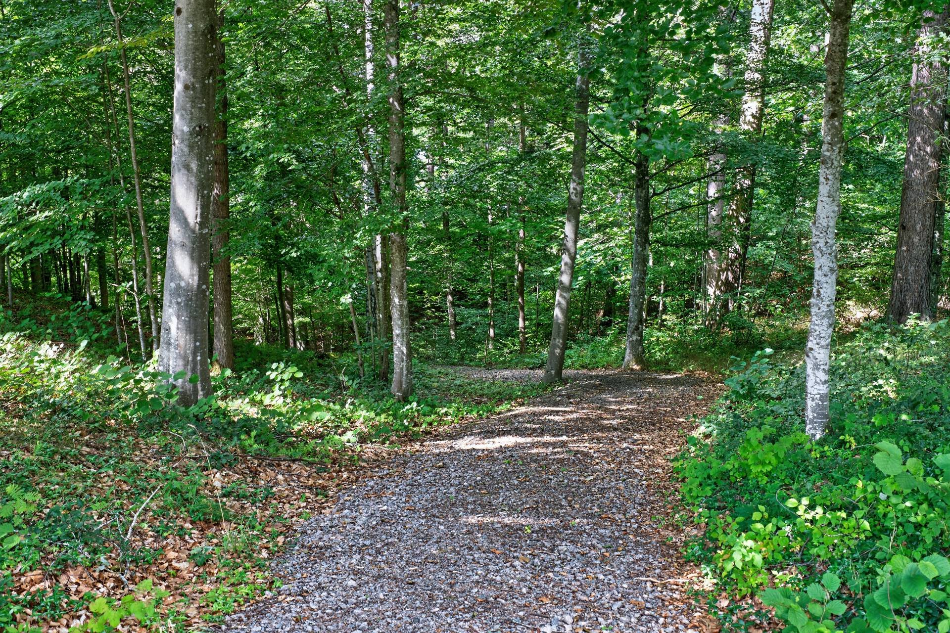 6 rum Villa på Sjötorp 1 Norra Kyrketorp Skövde kommun - bild 55