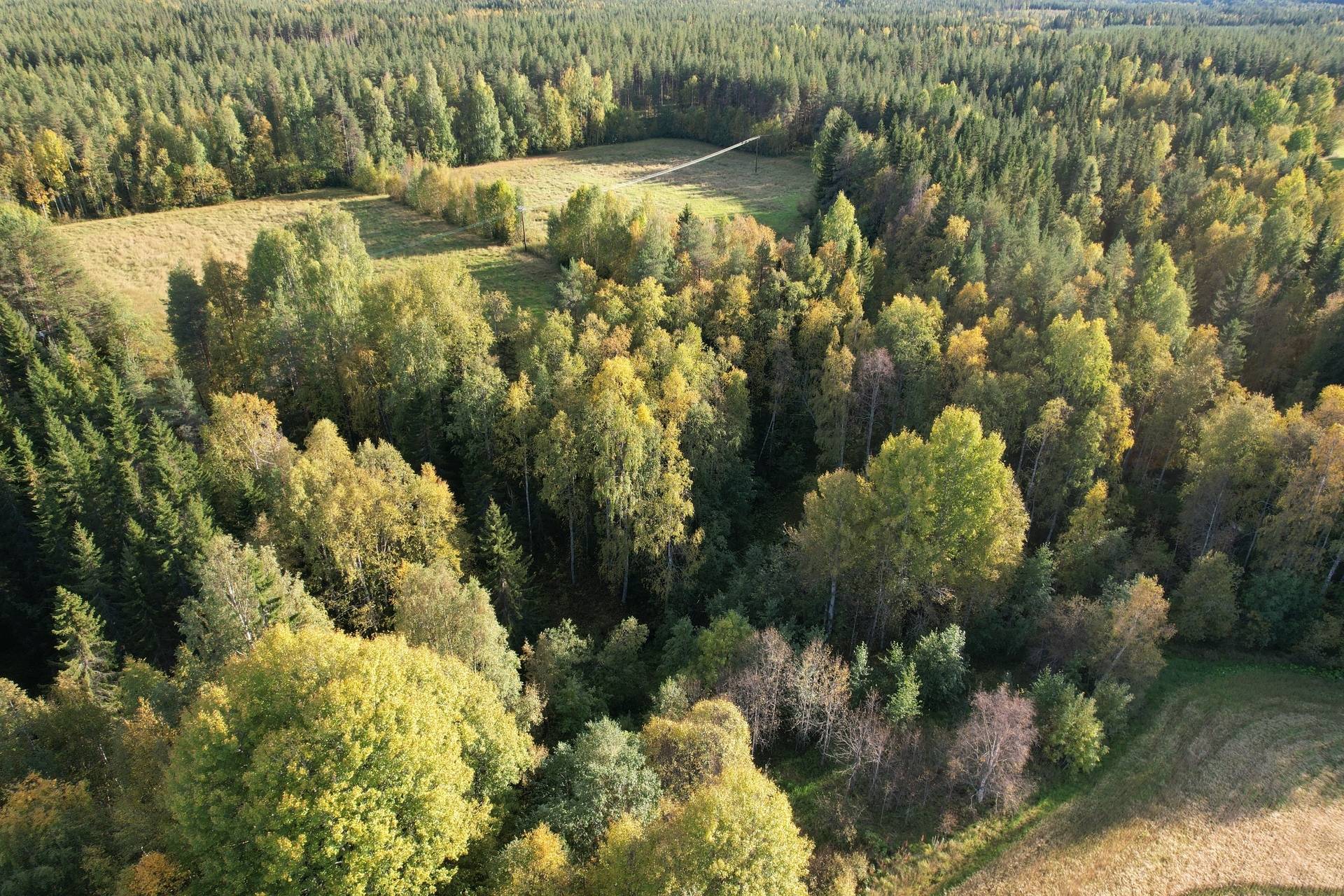 5 rum Gård med jordbruk på Nybyn 10 Älvsbyns kommun - bild 81