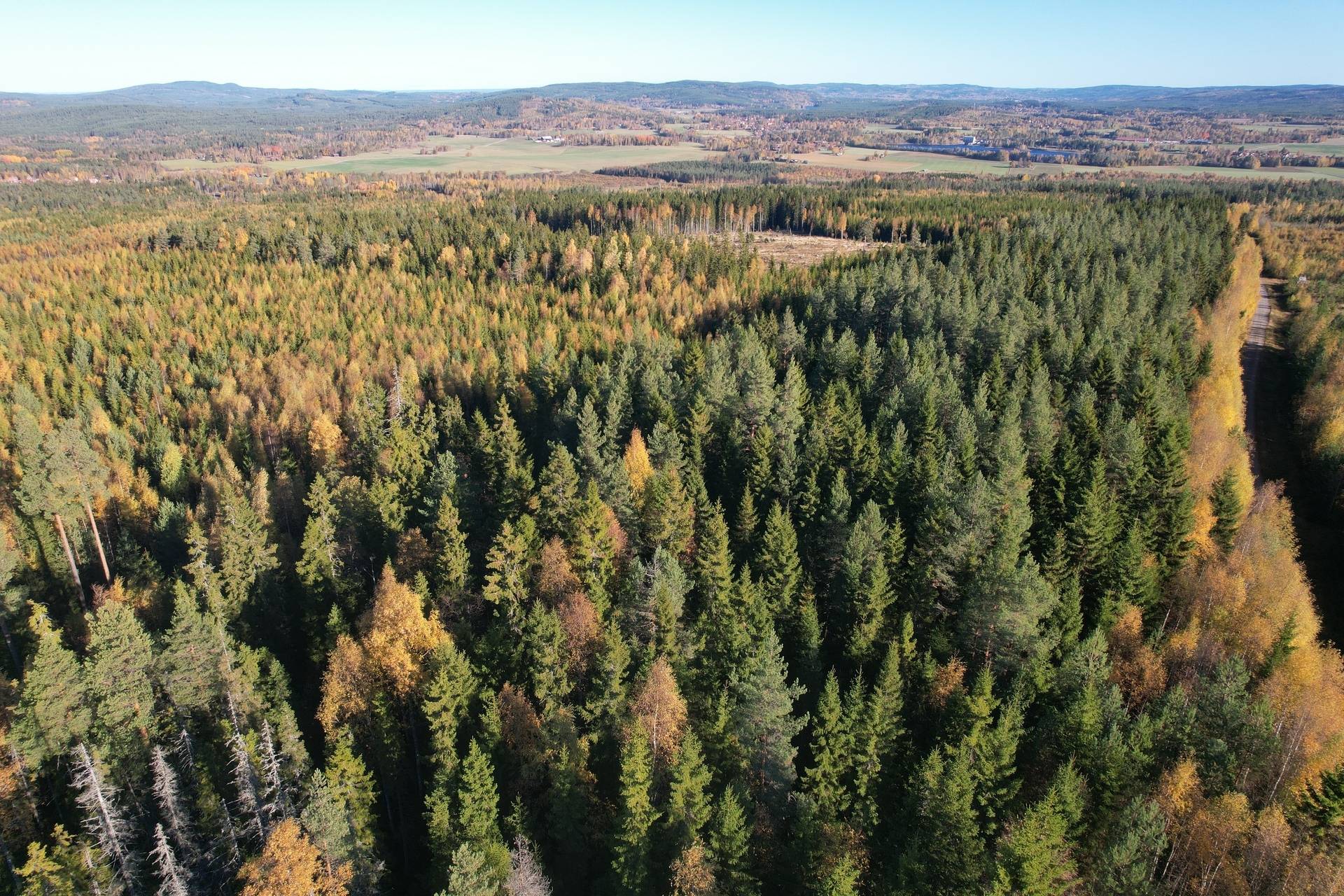 Gård med skogsbruk på Österfors Gagnefs kommun - bild 16