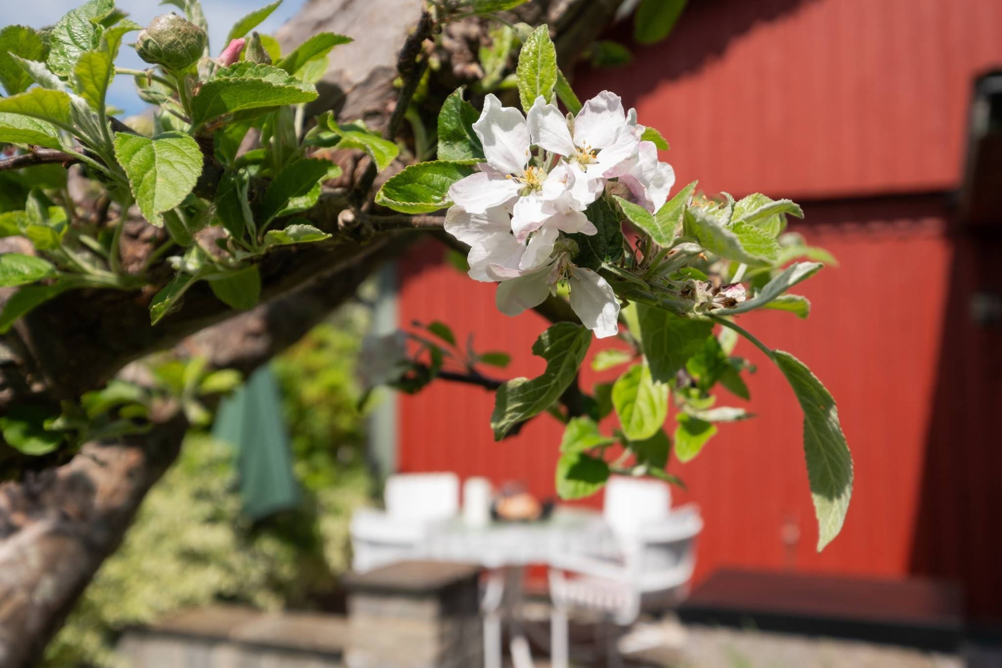 4 rum Villa på Lökvägen 12 Asarum Karlshamns kommun - bild 37
