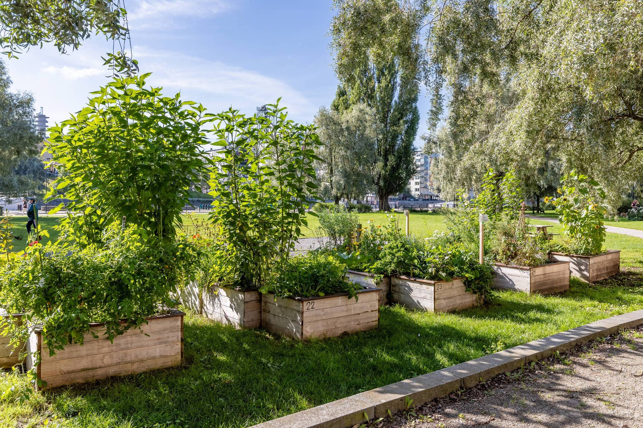 2.5 rum Lägenhet på Färgargårdstorget 10, 3 tr Södermalm - Sofia Stockholms kommun - bild 45