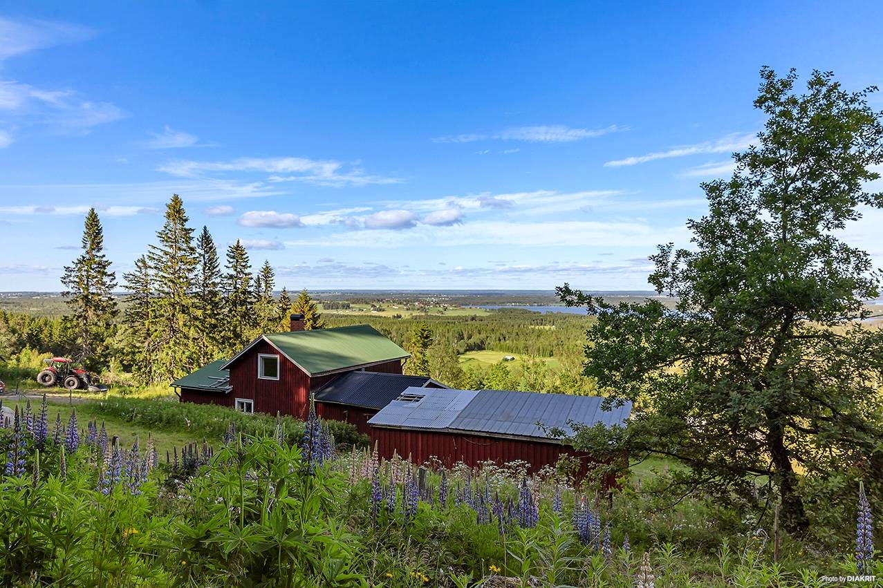 3 rum Gård/skog på Svedje 257 Oviken Bergs kommun - bild 2