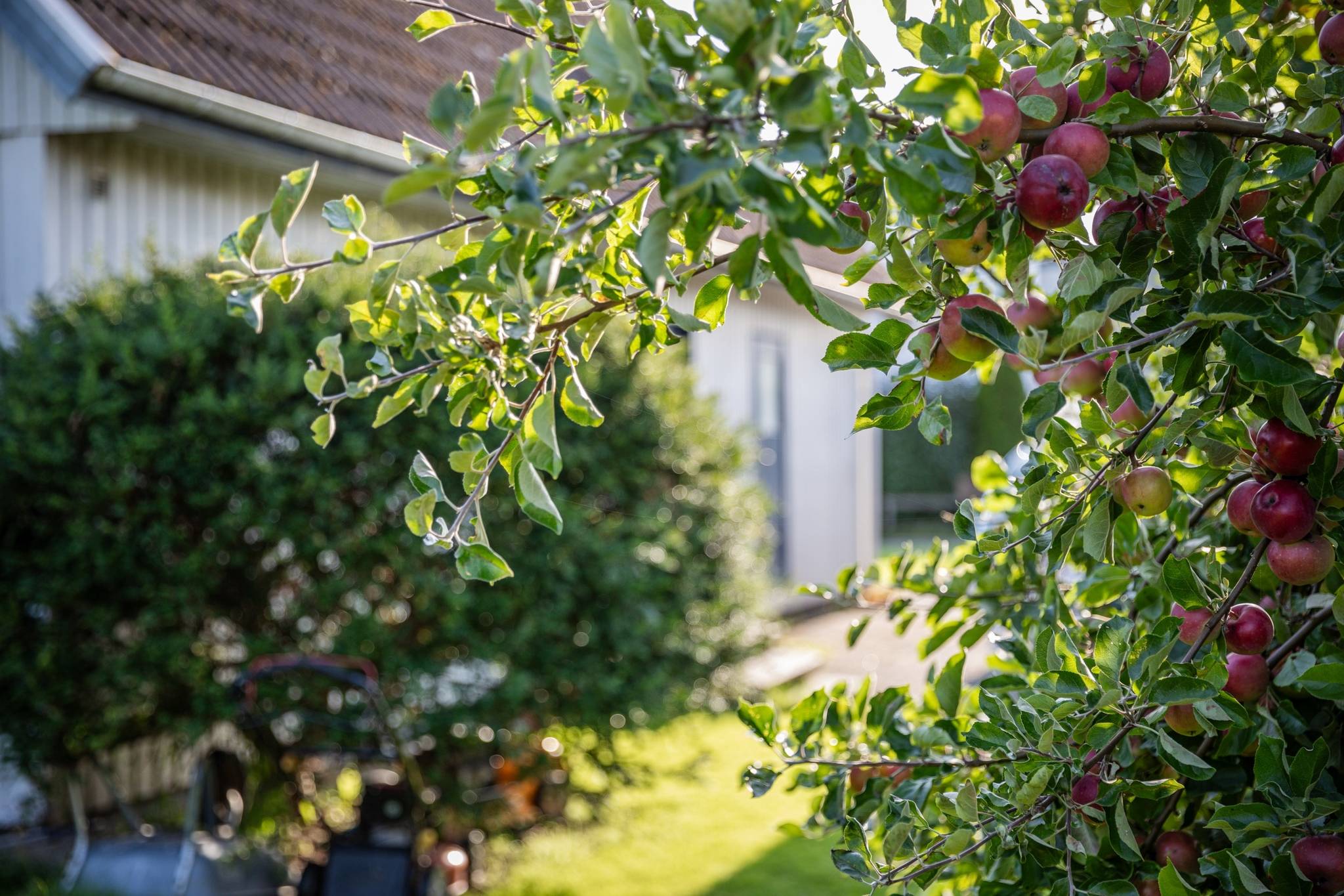 7 rum Villa på Hagvägen 23 Brastad Lysekils kommun - bild 11
