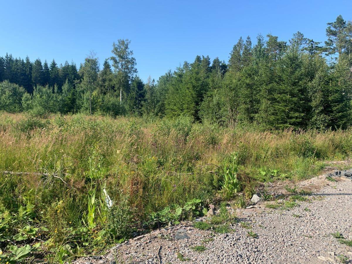 Väddö, Norrtälje kommun