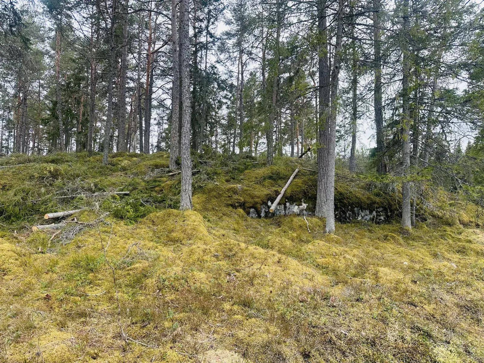 Grisslehamn, Norrtälje kommun
