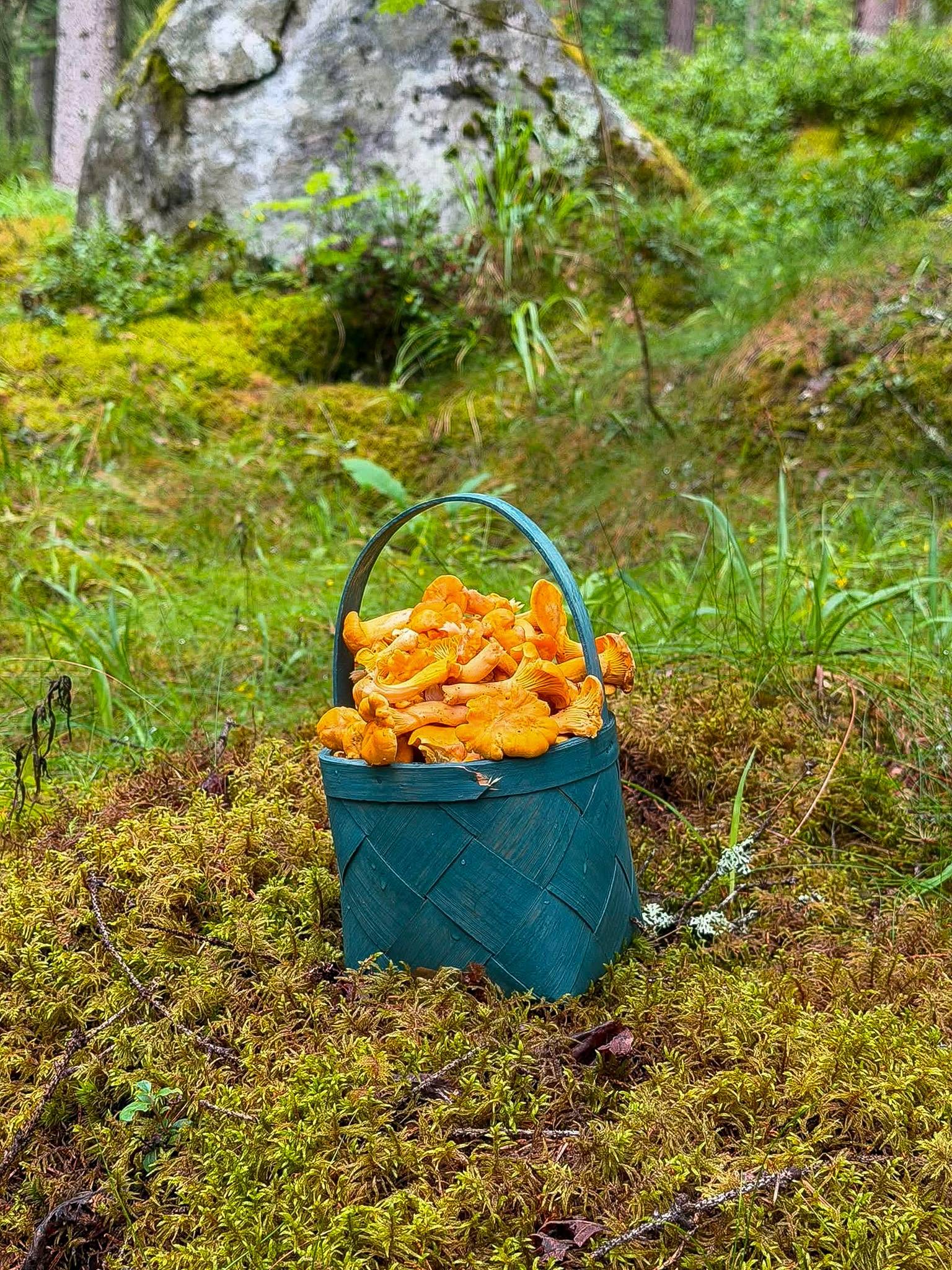 2 rum Fritidshus på Bofinkvägen 7 Söderhamns kommun - bild 27