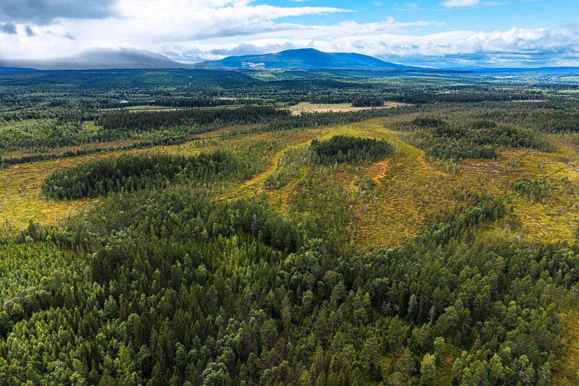 Gård med jordbruk på Högenvägen 29 Hallen Åre kommun - bild 75