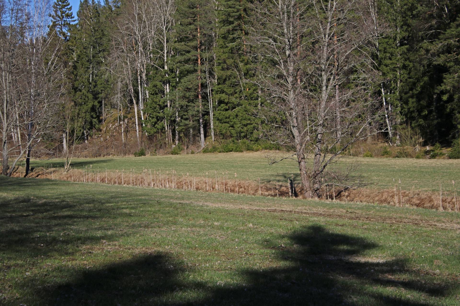 Gård/skog på Bergshamra Norrtälje kommun - bild 3